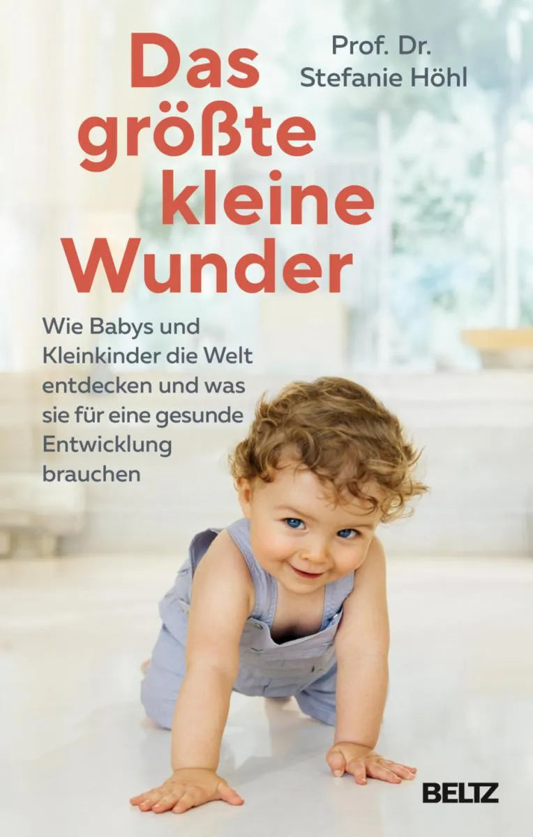 Cover: Das größte kleine Wunder (E-Book) von Stefanie Höhl