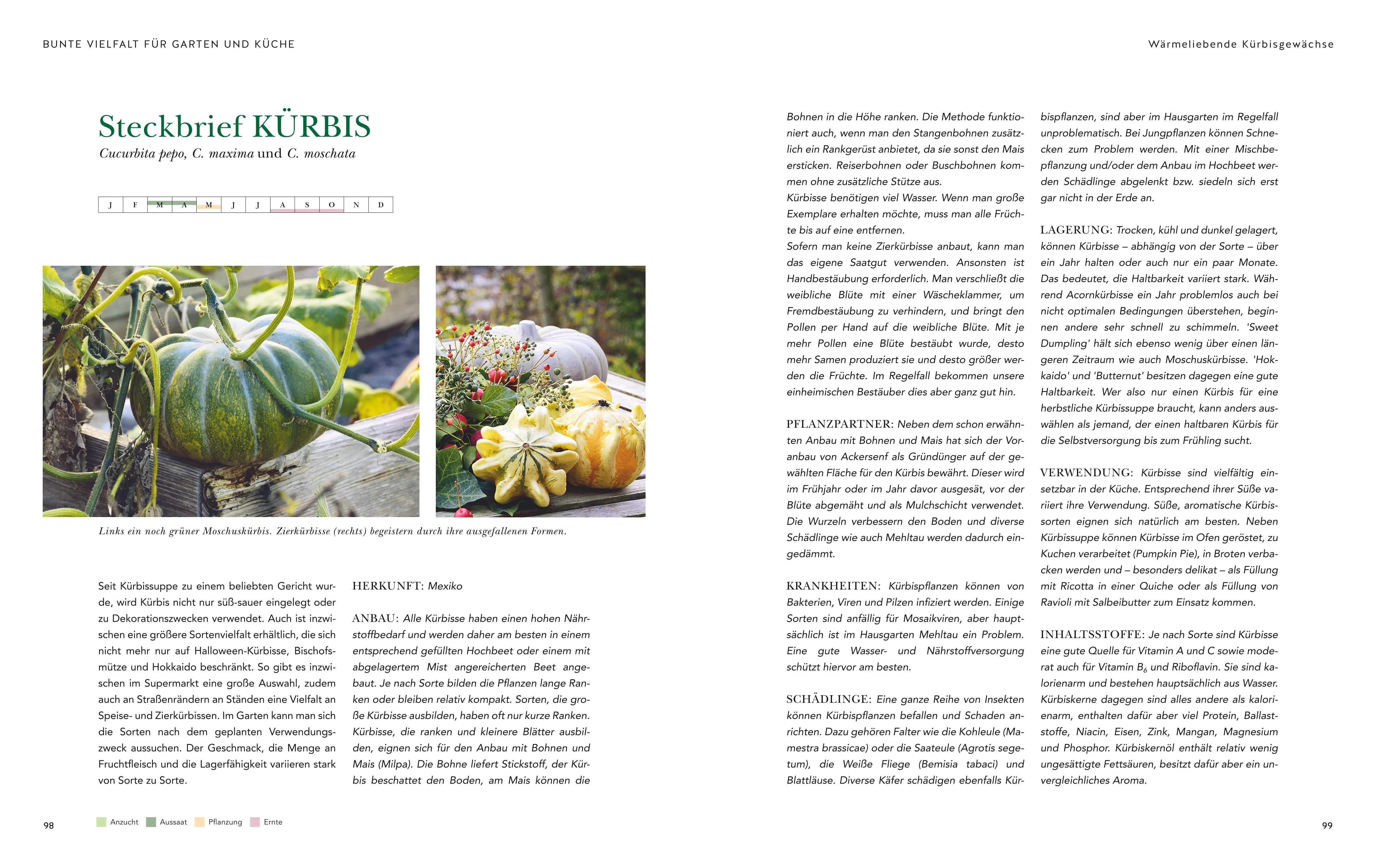 Produktansicht: Das große Garten-Gemüse-Buch (Gebundene Ausgabe)