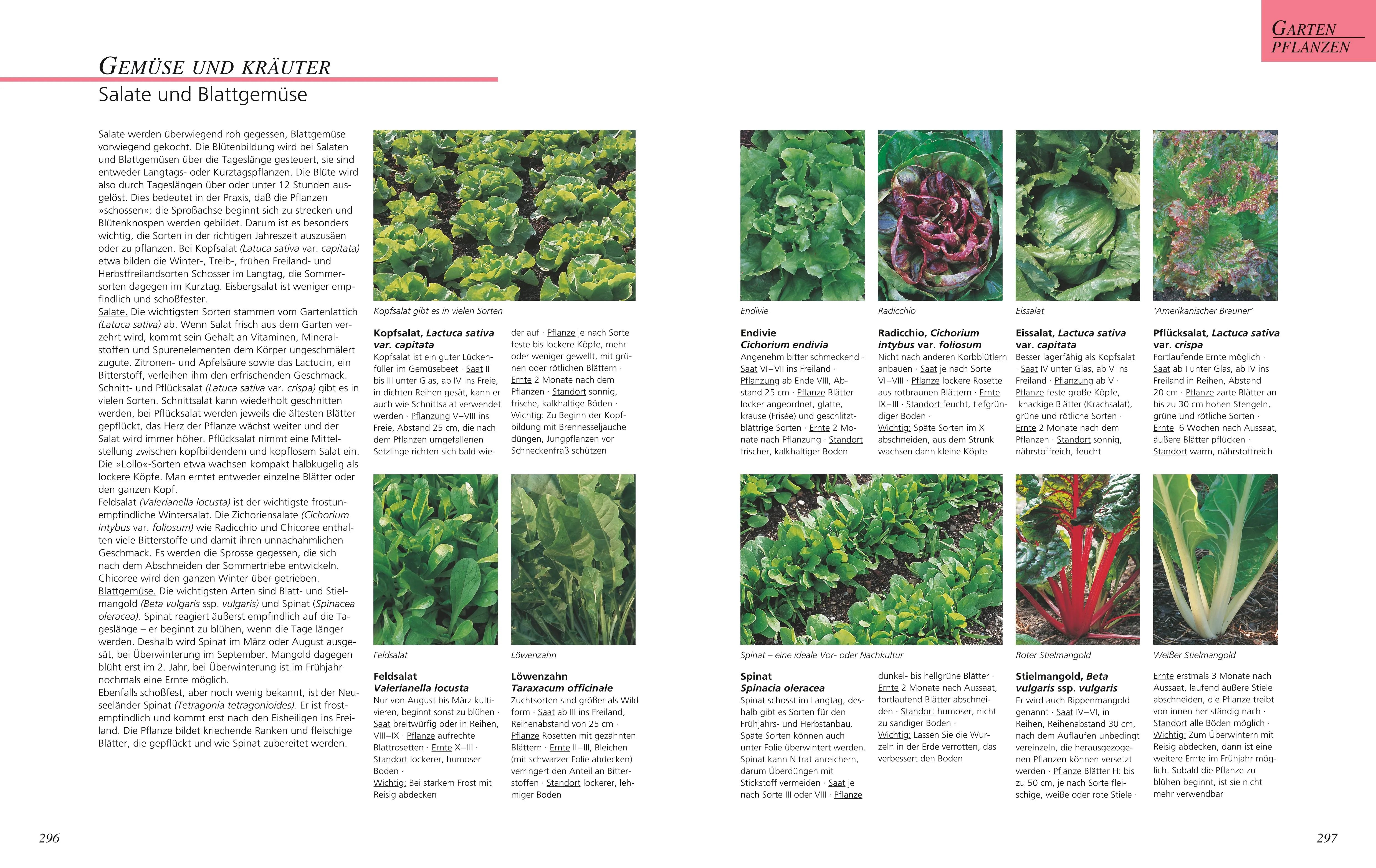 Herta Simon - Das große GU Gartenbuch