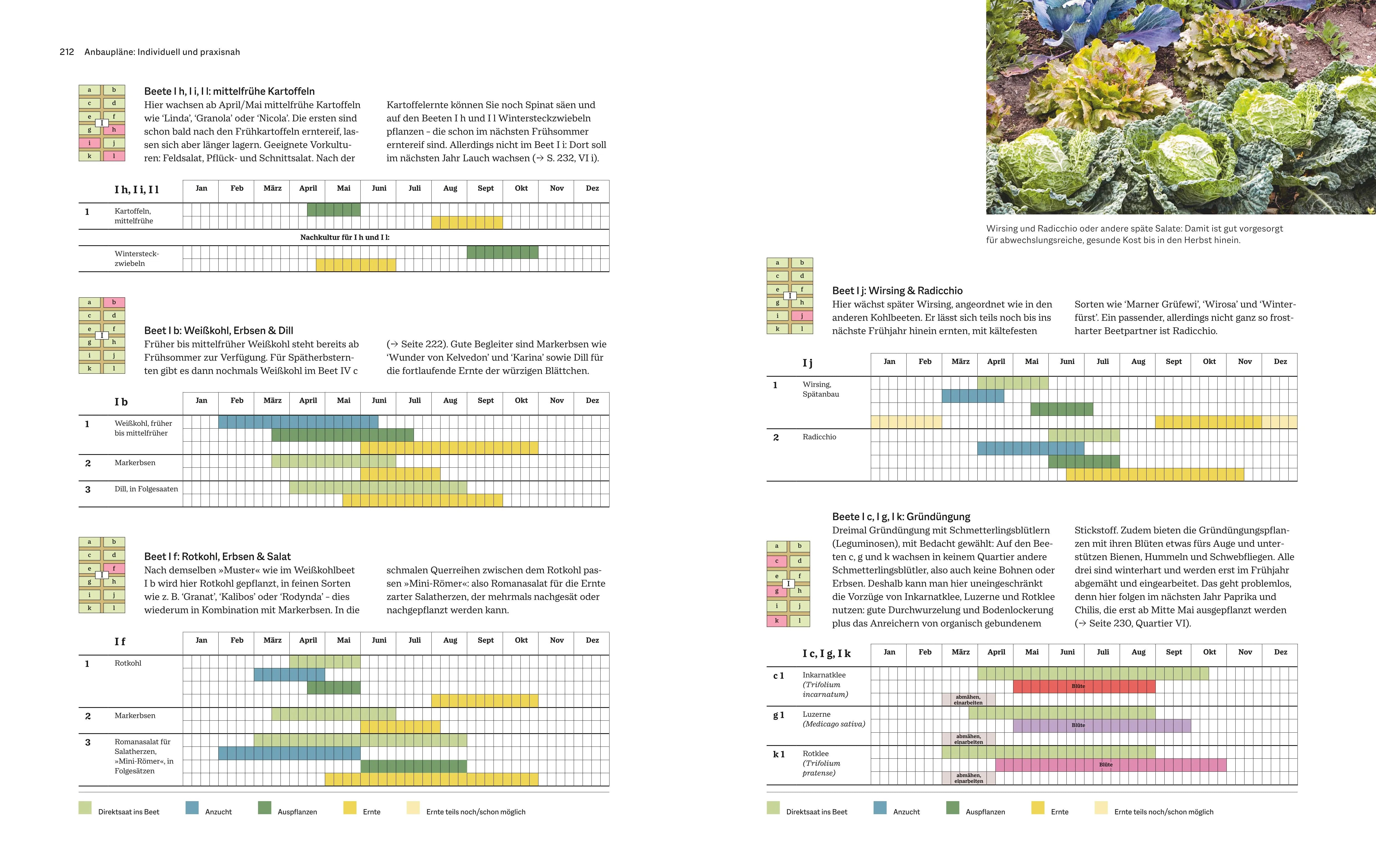 Detailansicht: Das große GU Handbuch Gemüse-Anbauplanung (Hardcover)