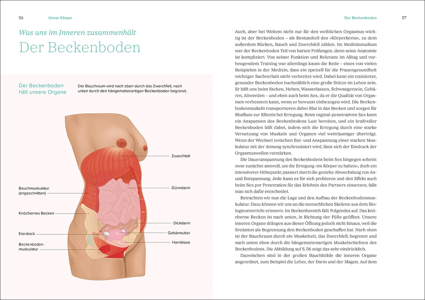 Detailansicht: Das große Gynbuch (Taschenbuch)
