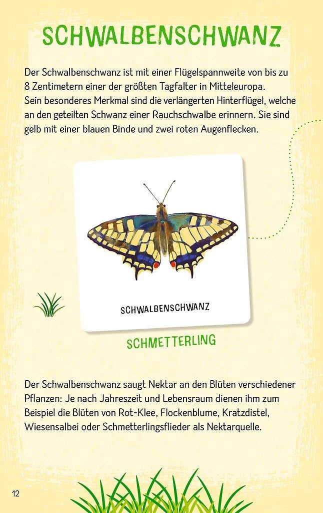 Das große Insekten Memo – Ansicht