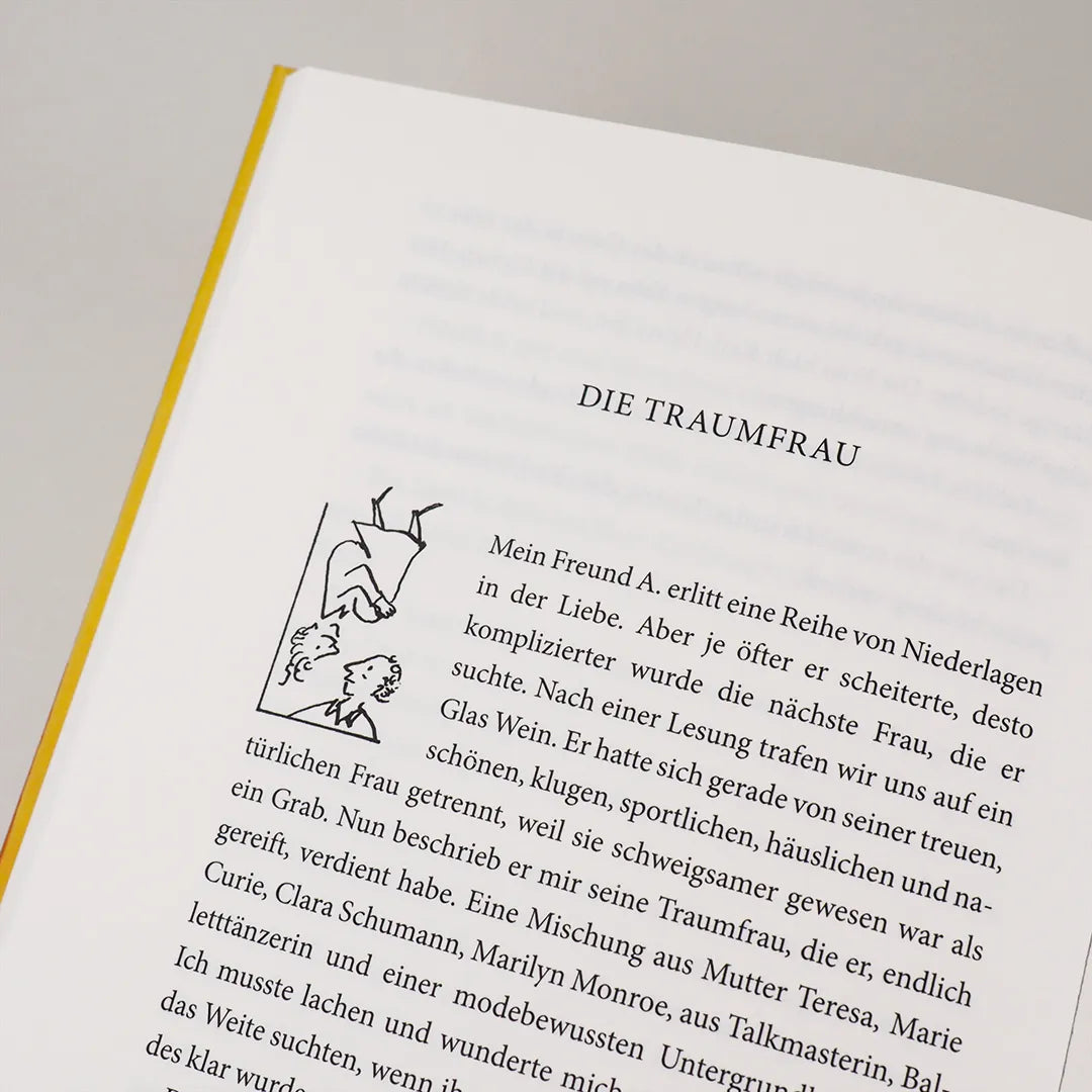 Produktansicht: Das große Rafik Schami-Buch (Gebundene Ausgabe)