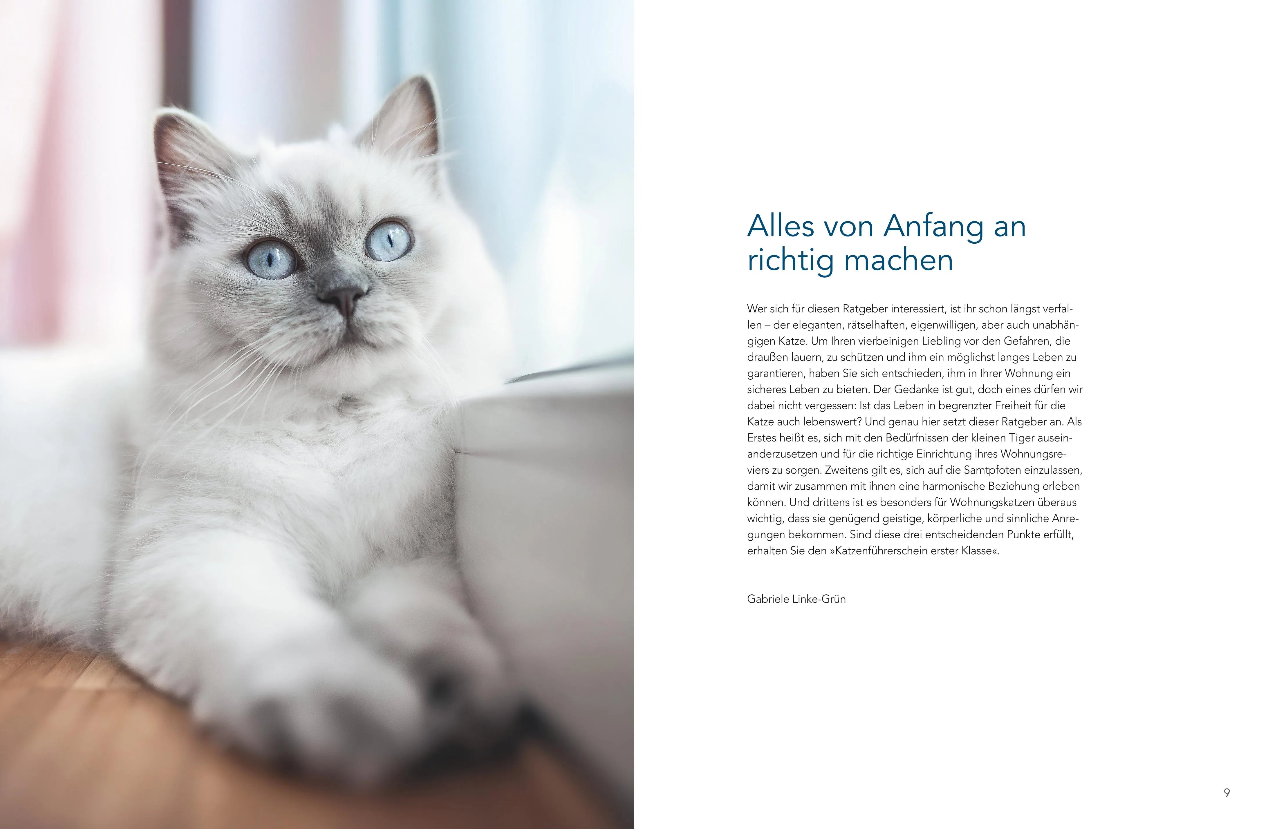 Gabriele Linke-Grün - Das große Wohnungskatzen-Wohlfühl-Buch