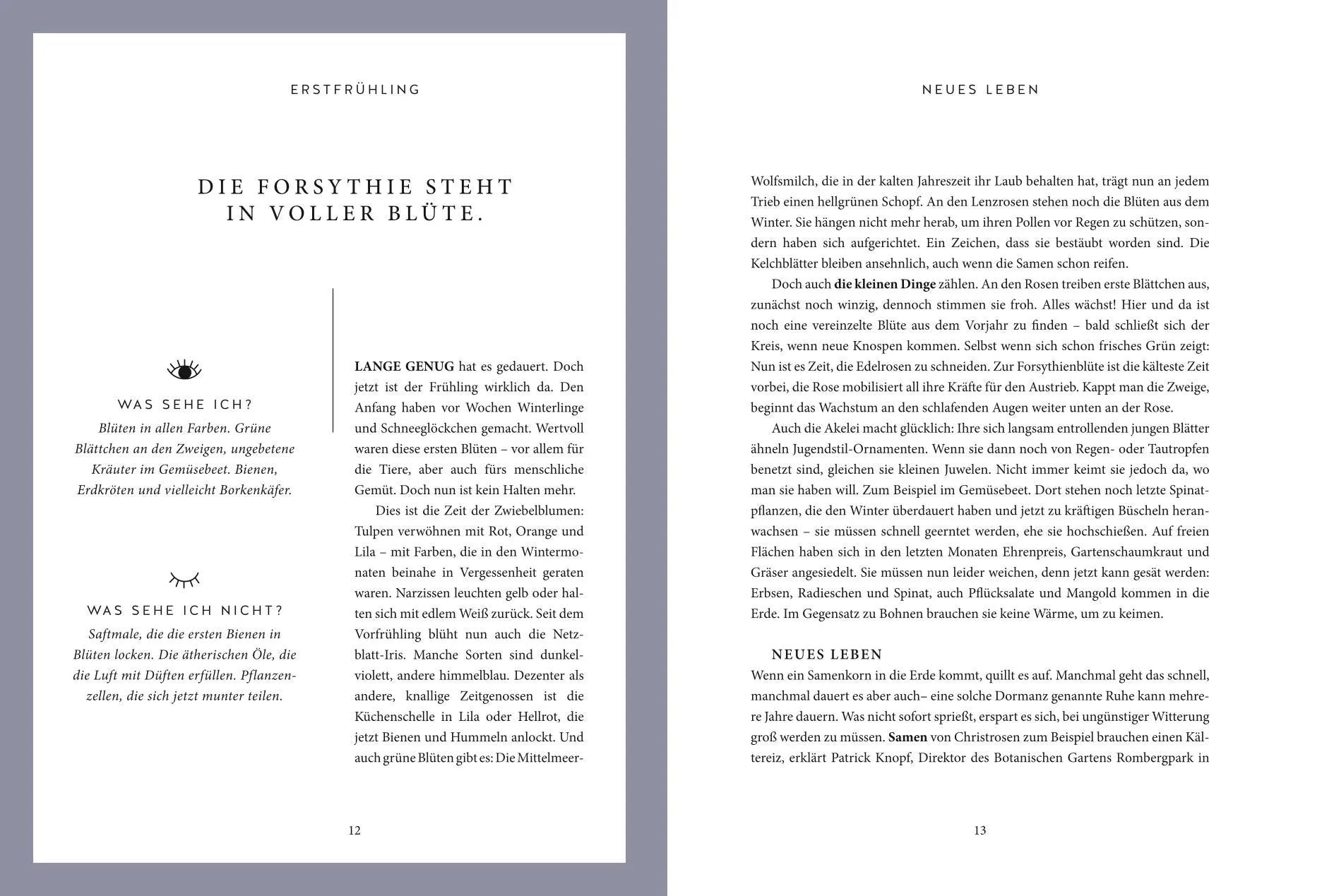 Produktansicht: Das grüne Wunder (Taschenbuch)