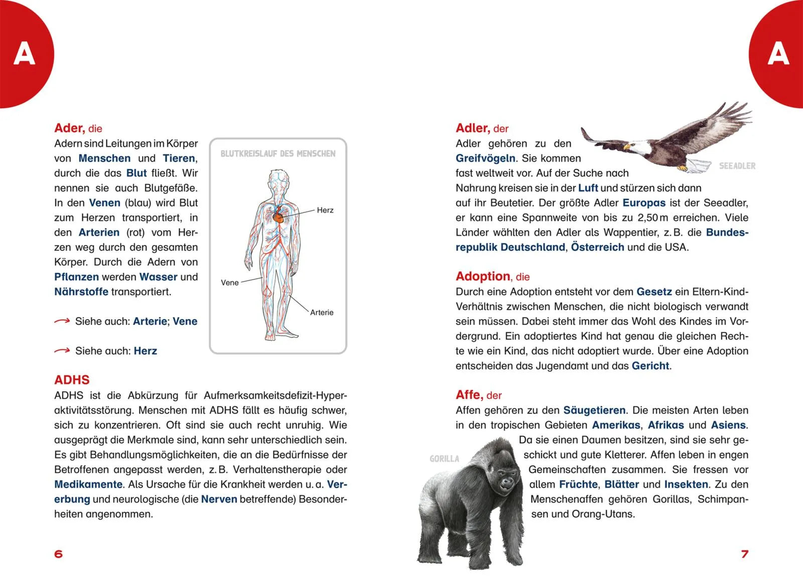 Produktansicht: Das Grundschullexikon (Taschenbuch)