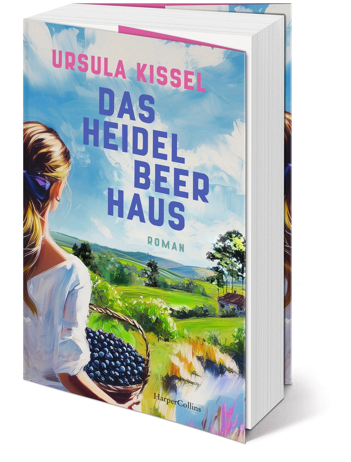 Detailansicht: Das Heidelbeerhaus (Paperback)