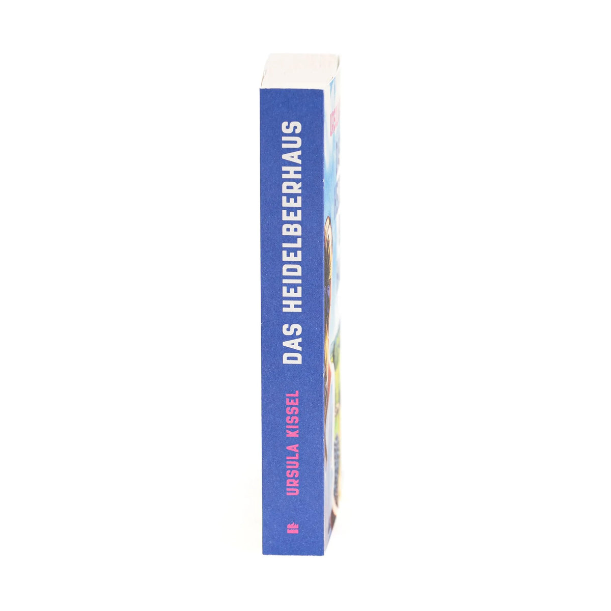 Detailansicht: Das Heidelbeerhaus (Paperback)