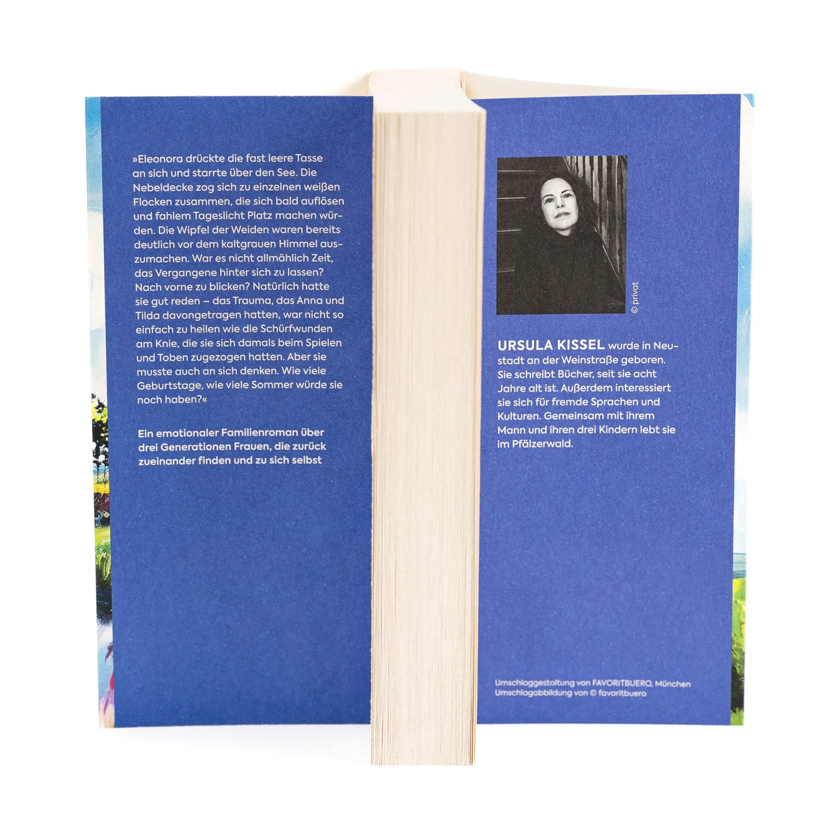 Detailansicht: Das Heidelbeerhaus (Paperback)