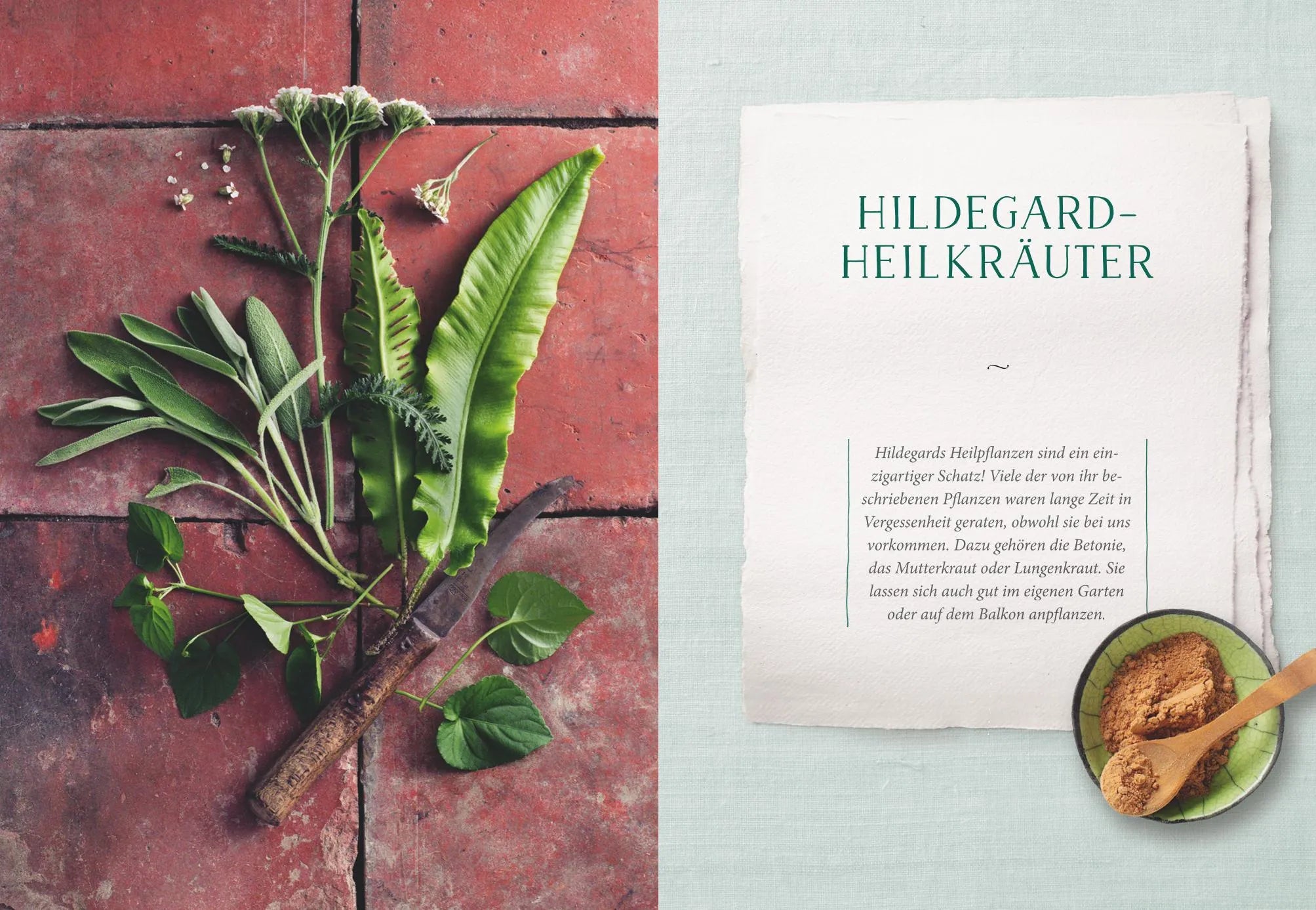 Produktansicht: Das Heilwissen der Hildegard von Bingen (Taschenbuch)