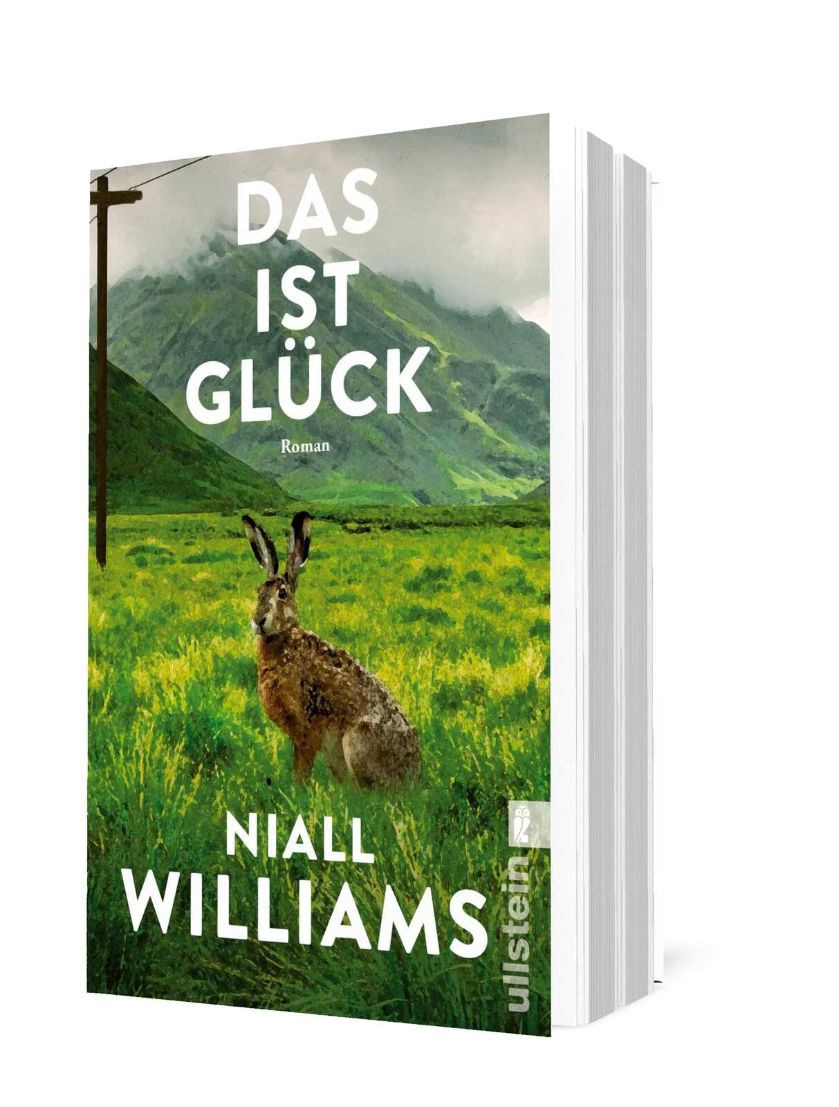 Detailansicht: Das ist Glück (Taschenbuch)