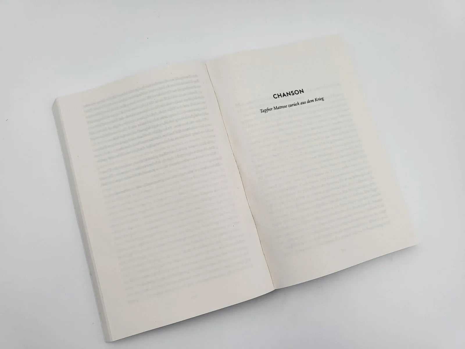 Produktansicht: Das Jahresbankett der Totengräber (Taschenbuch)