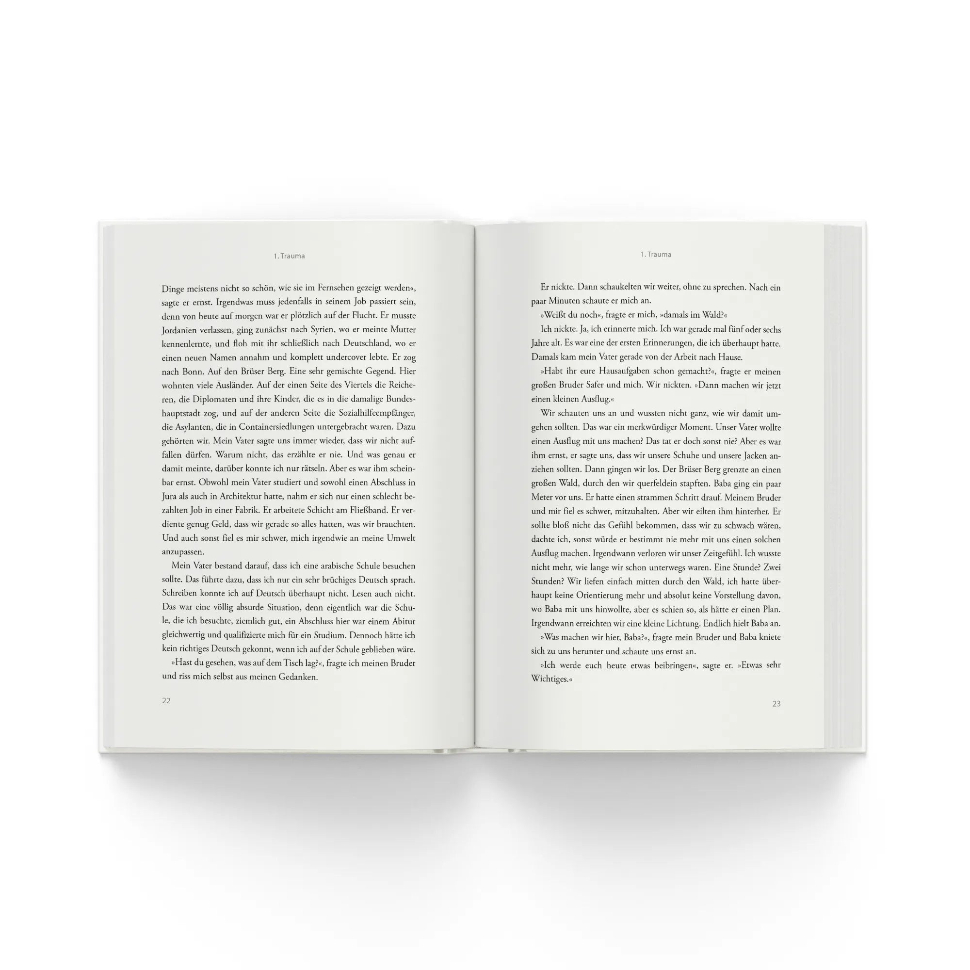 Detailansicht: Das Kapitel, das fehlt (Hardcover)