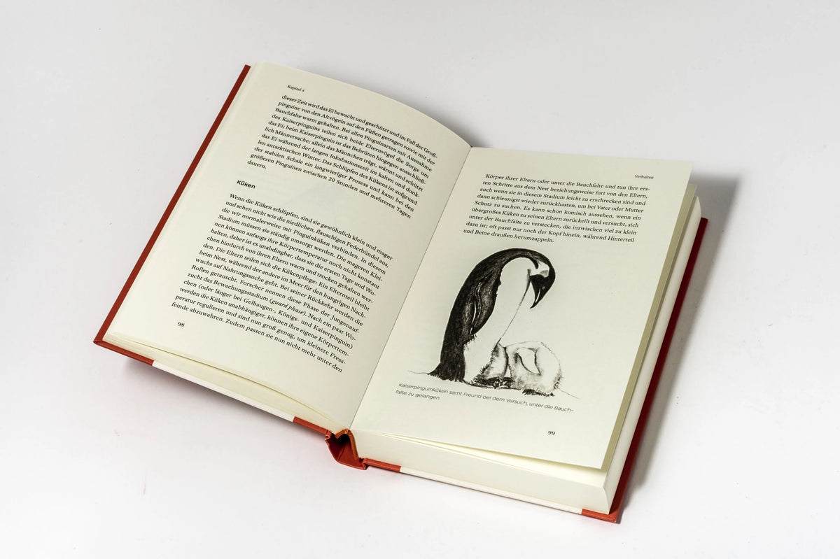 Detailansicht: Das kleine Buch der Pinguine (Hardcover)