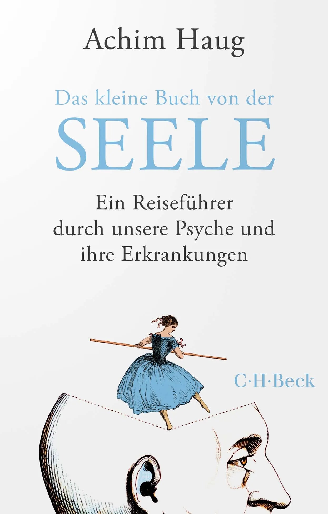 Cover: Das kleine Buch von der Seele (Taschenbuch) von Achim Haug