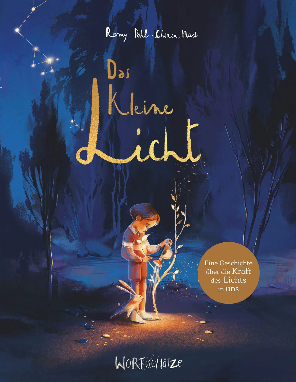 Cover: Das kleine Licht (Hardcover) von Romy Pohl