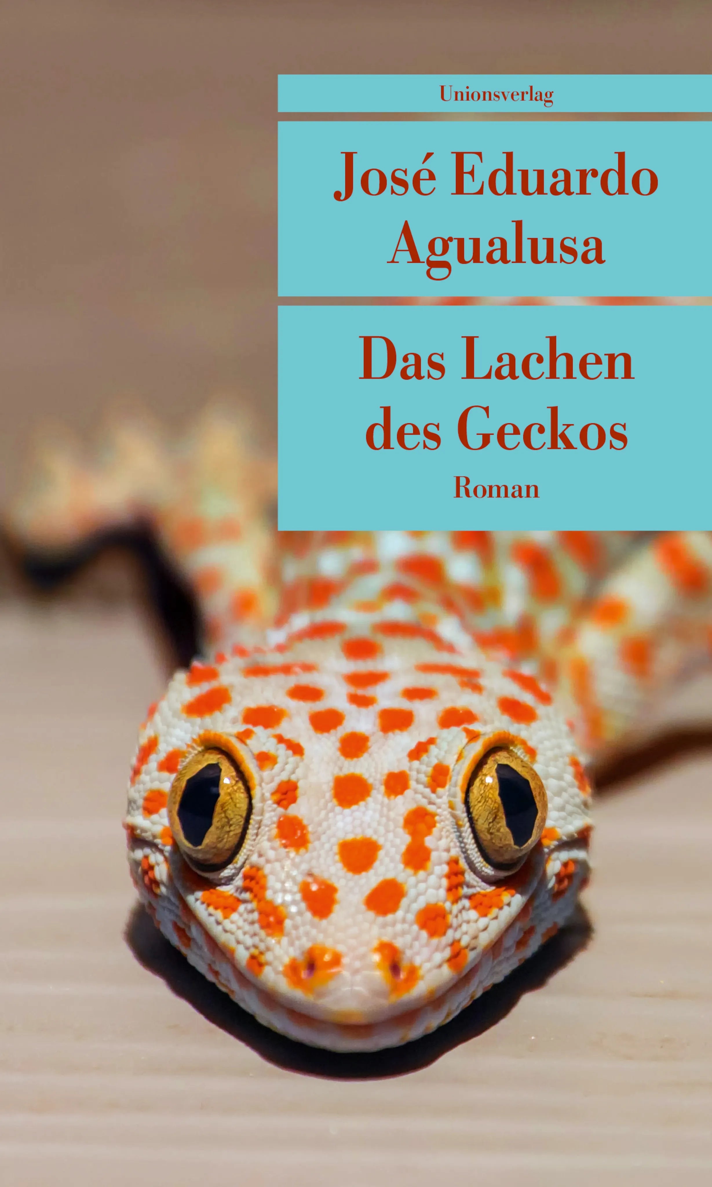 Buchcover von 'Das Lachen des Geckos' - Taschenbuch von José Eduardo Agualusa