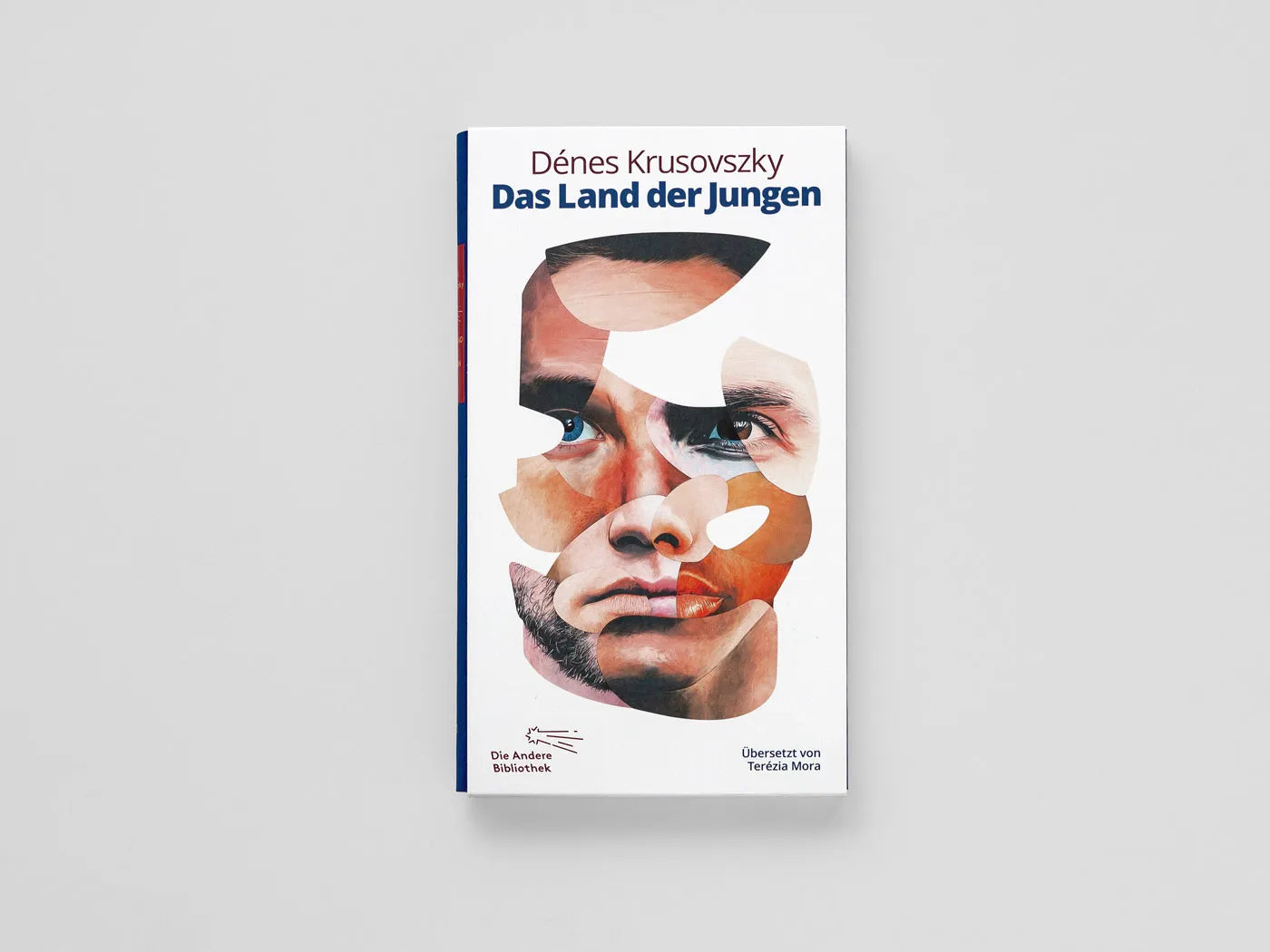 Innenansicht von 'Das Land der Jungen' - Gebundene Ausgabe
