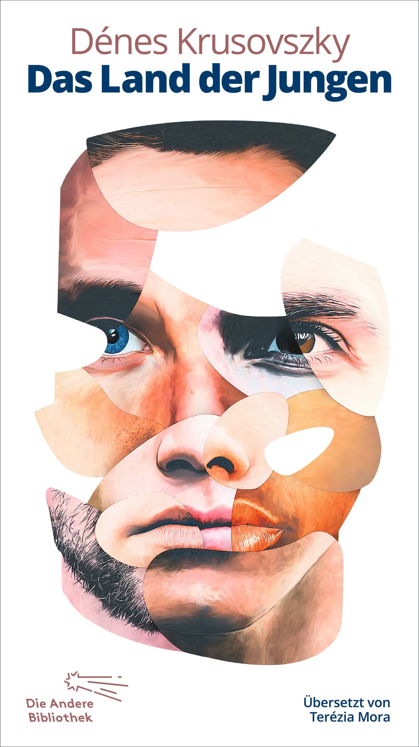 Buchcover von 'Das Land der Jungen' - Gebundene Ausgabe von Dénes Krusovszky