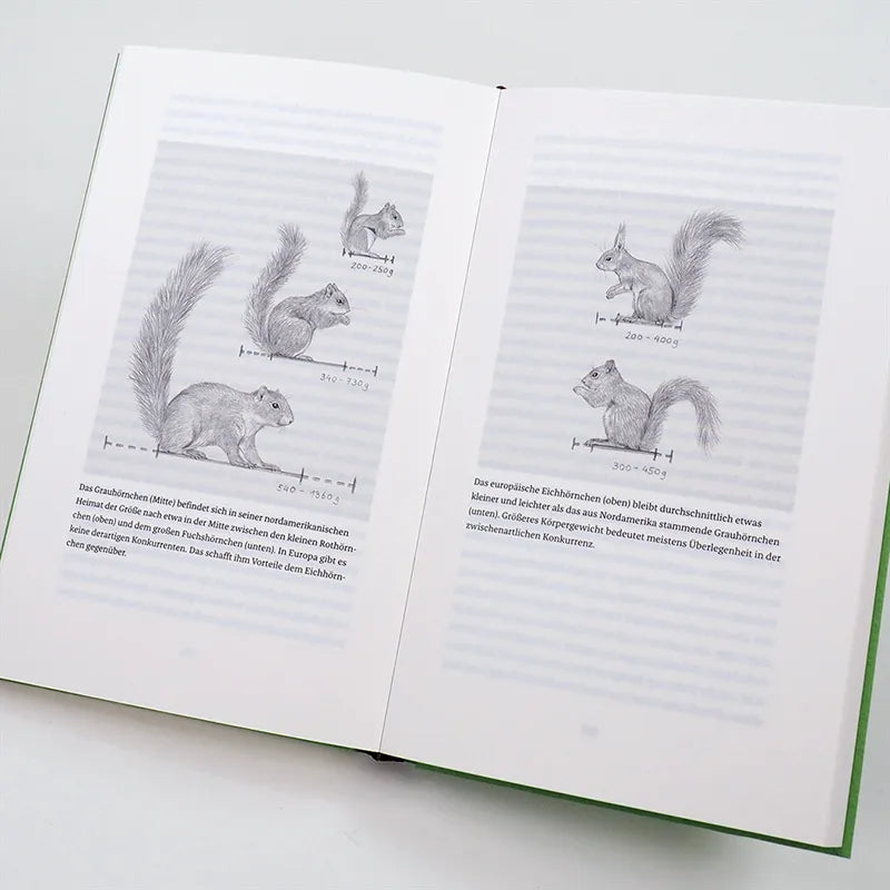 Produktansicht: Das Leben der Eichhörnchen (Gebundene Ausgabe)