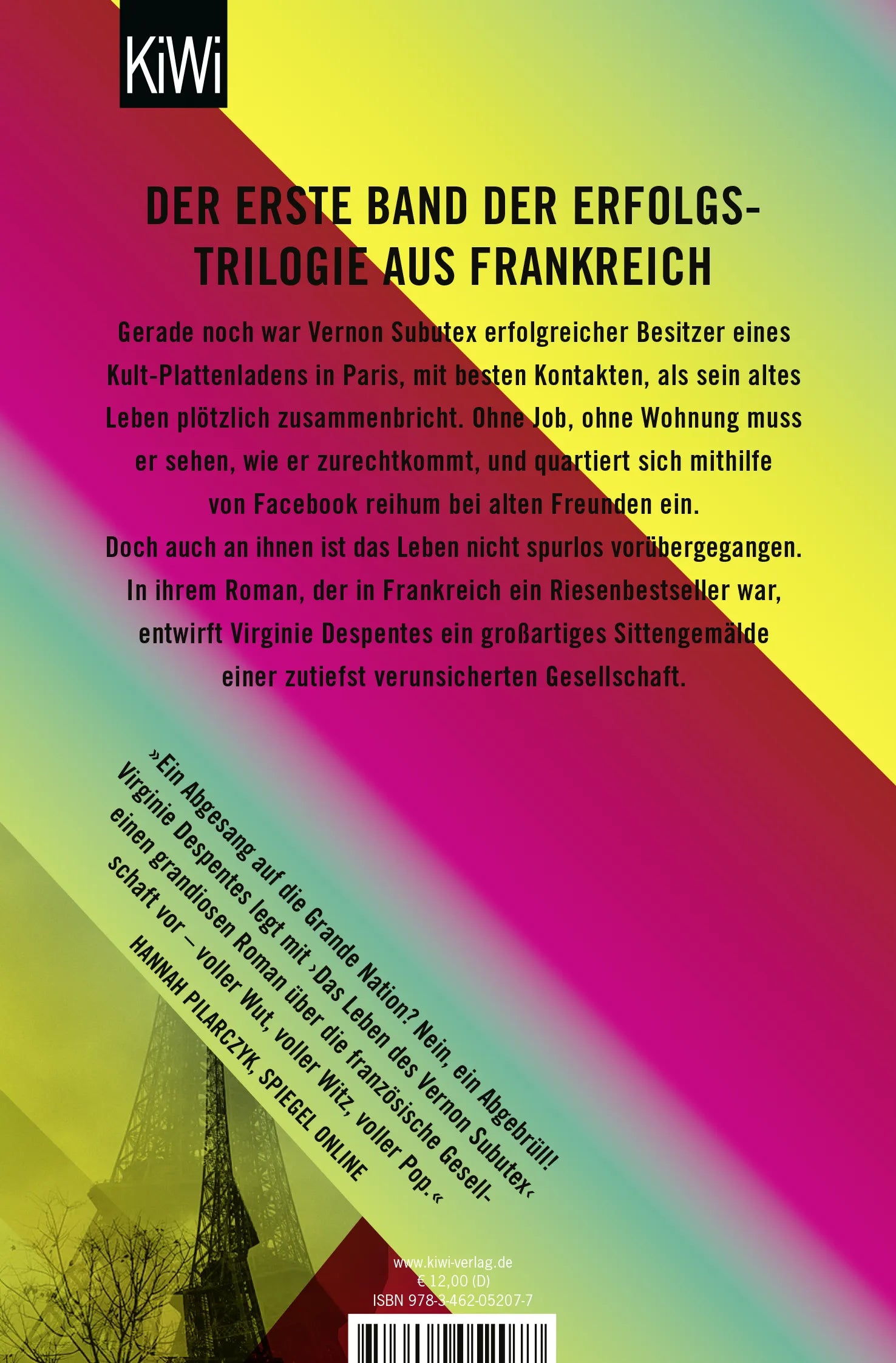 Buchrückseite von 'Das Leben des Vernon Subutex 1' mit Klappentext - Taschenbuch