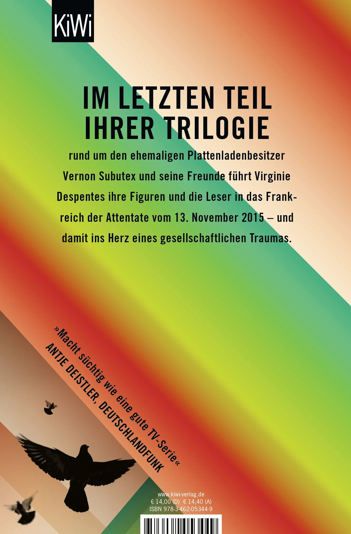 Buchrückseite von 'Das Leben des Vernon Subutex 3' mit Klappentext - Taschenbuch