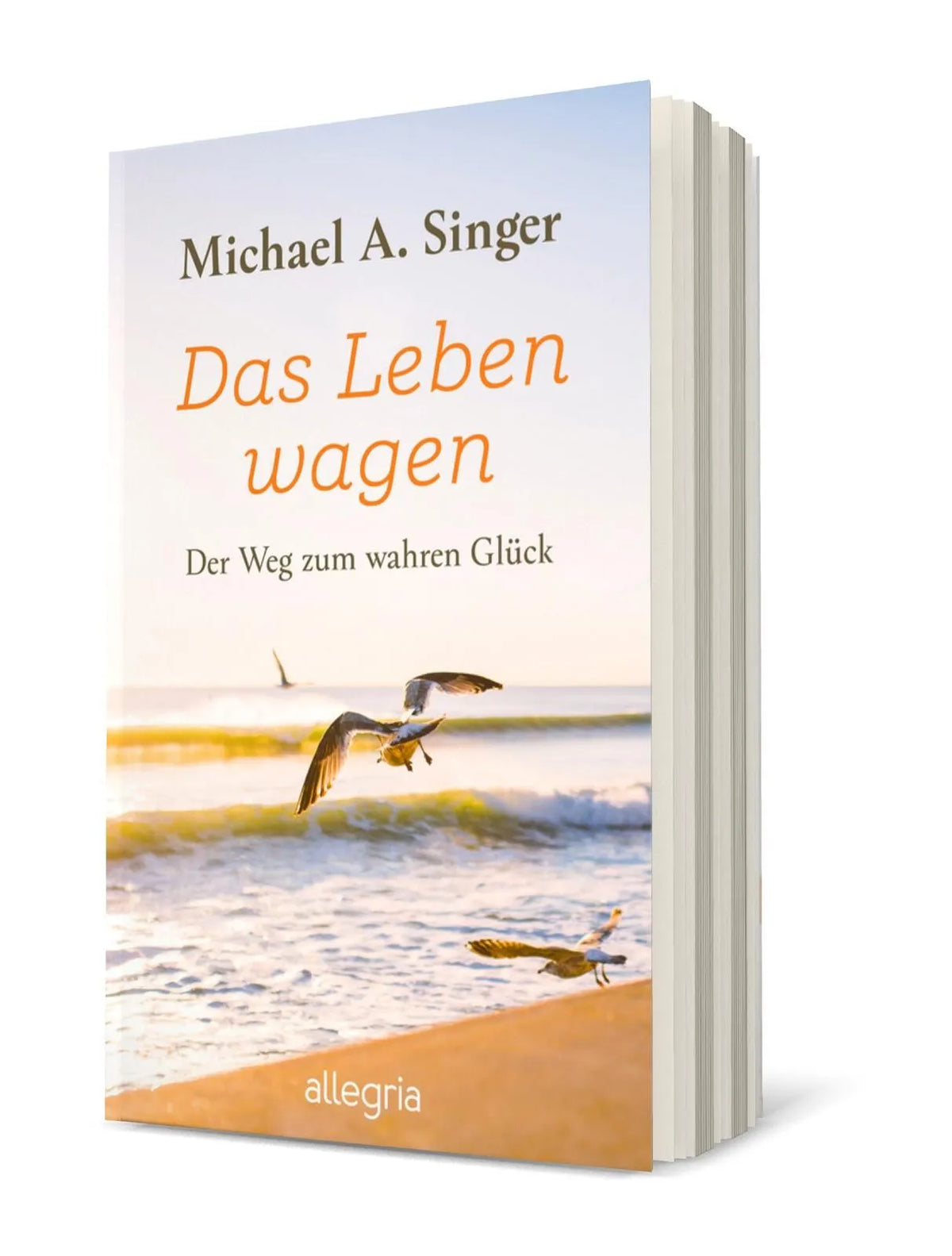 Detailansicht: Das Leben wagen (Taschenbuch)