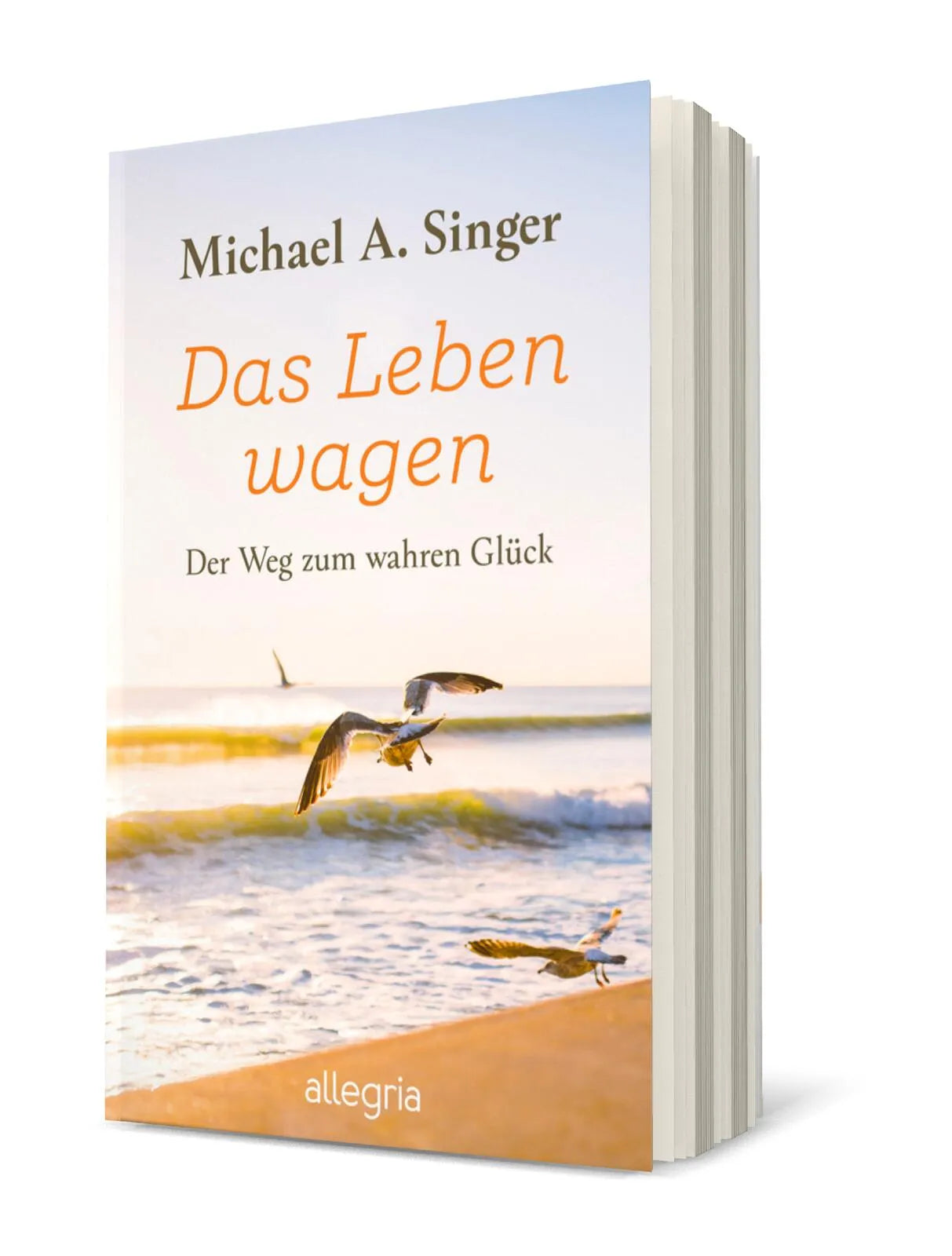 Buchcover von 'Das Leben wagen' - Taschenbuch von Michael A. Singer