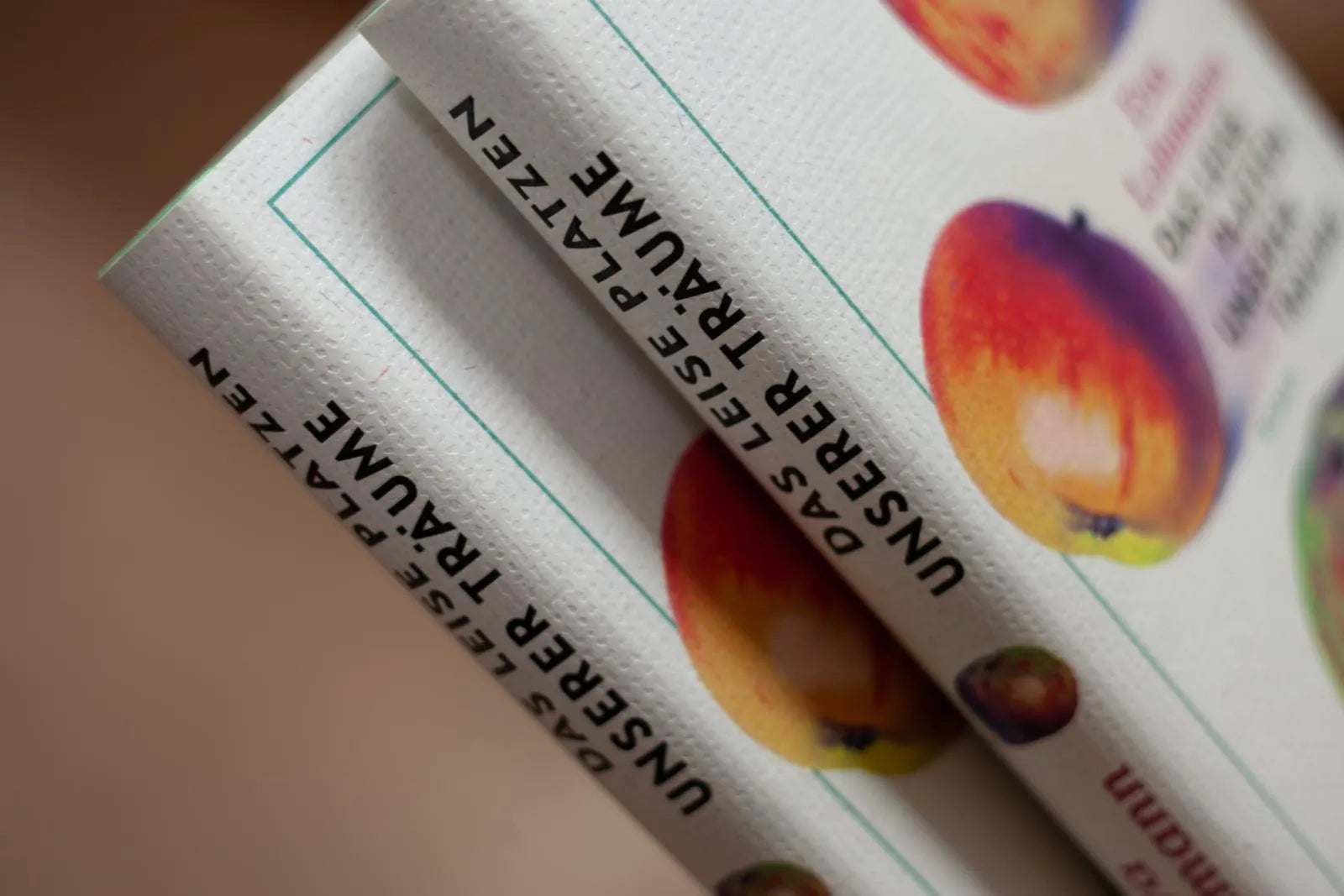 Produktansicht: Das leise Platzen unserer Träume (Gebundene Ausgabe)