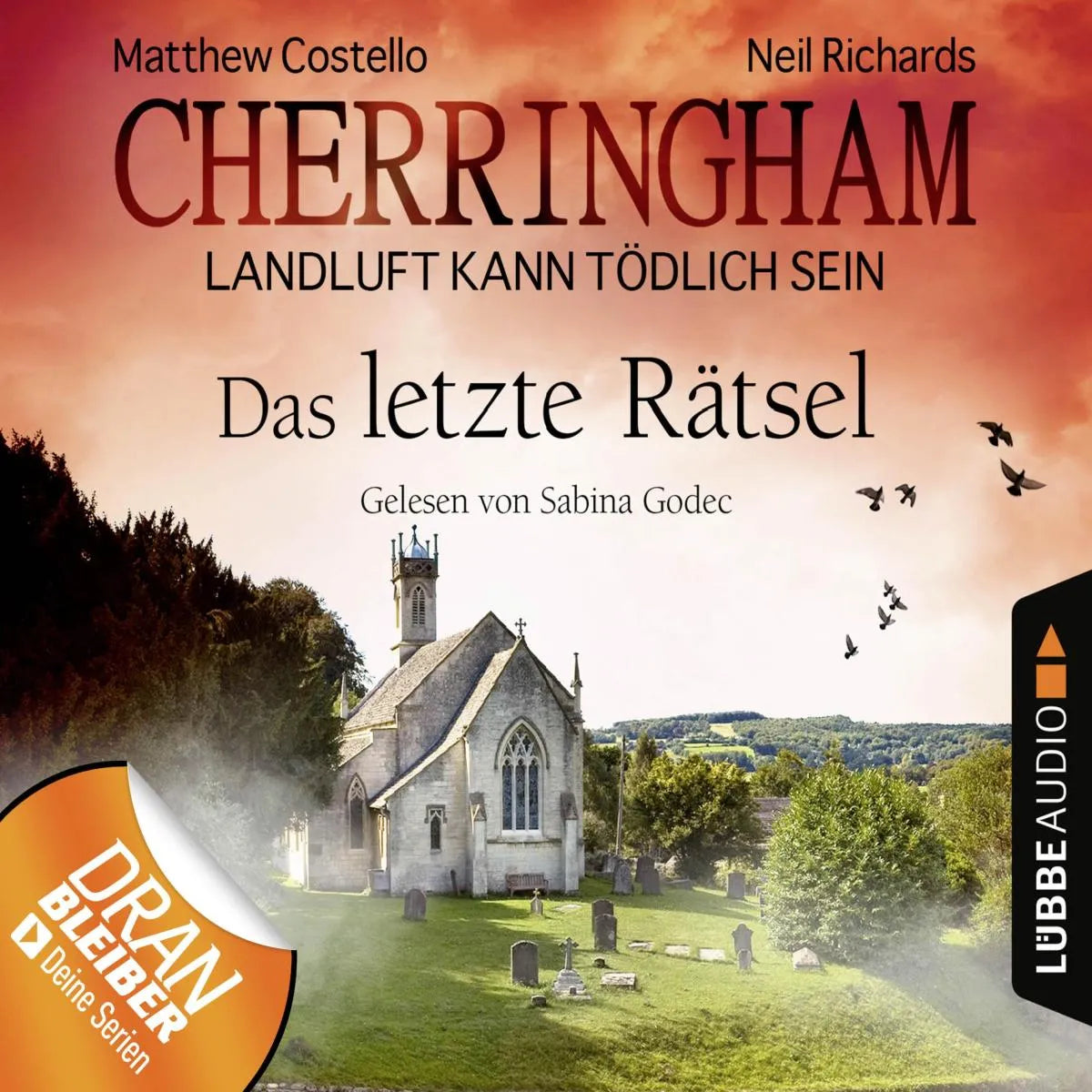 Cover: Das letzte Rätsel (Hörbuch Download) von Matthew Costello