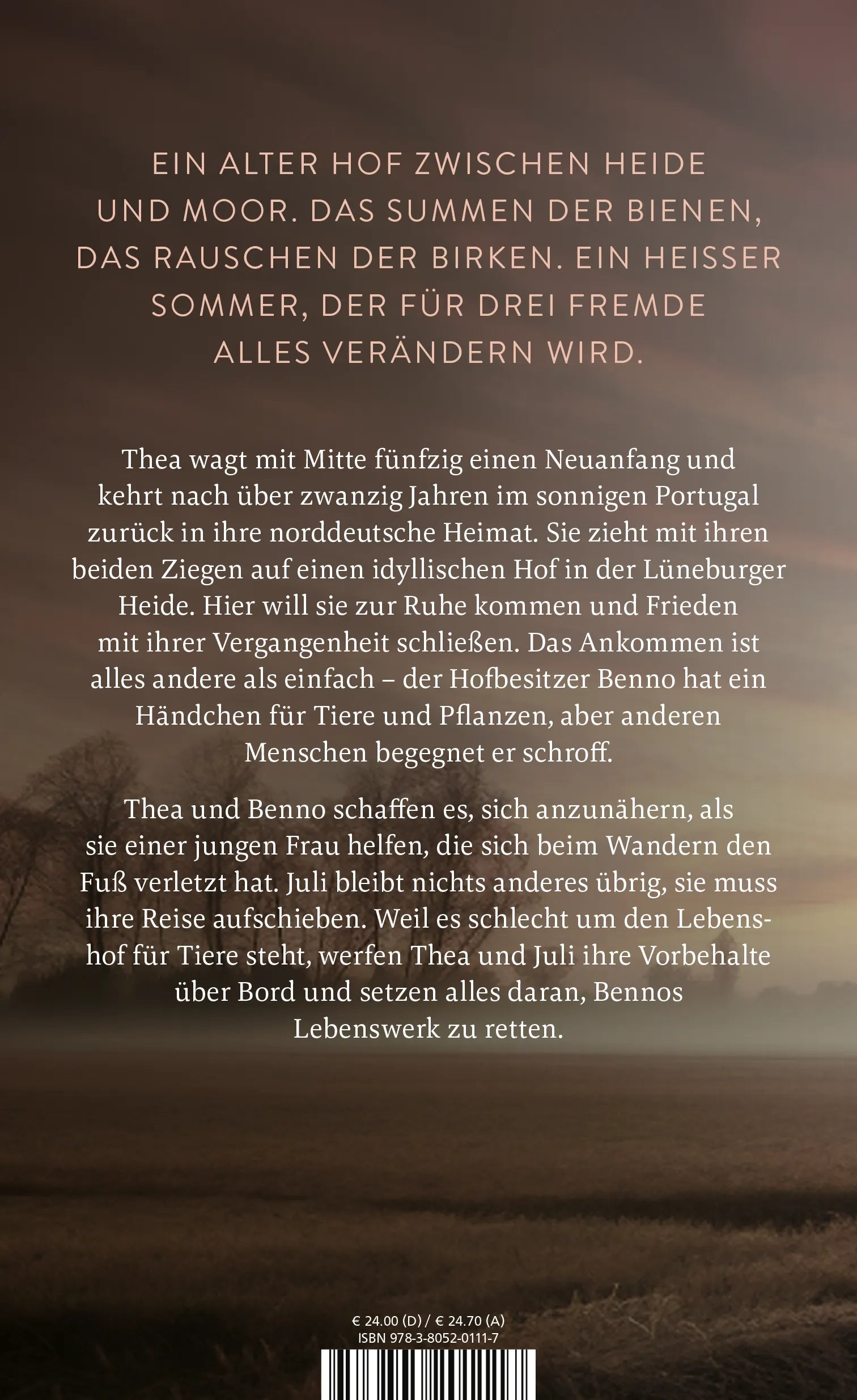 Buchrückseite von 'Das Licht in den Birken' mit Klappentext - Gebundene Ausgabe
