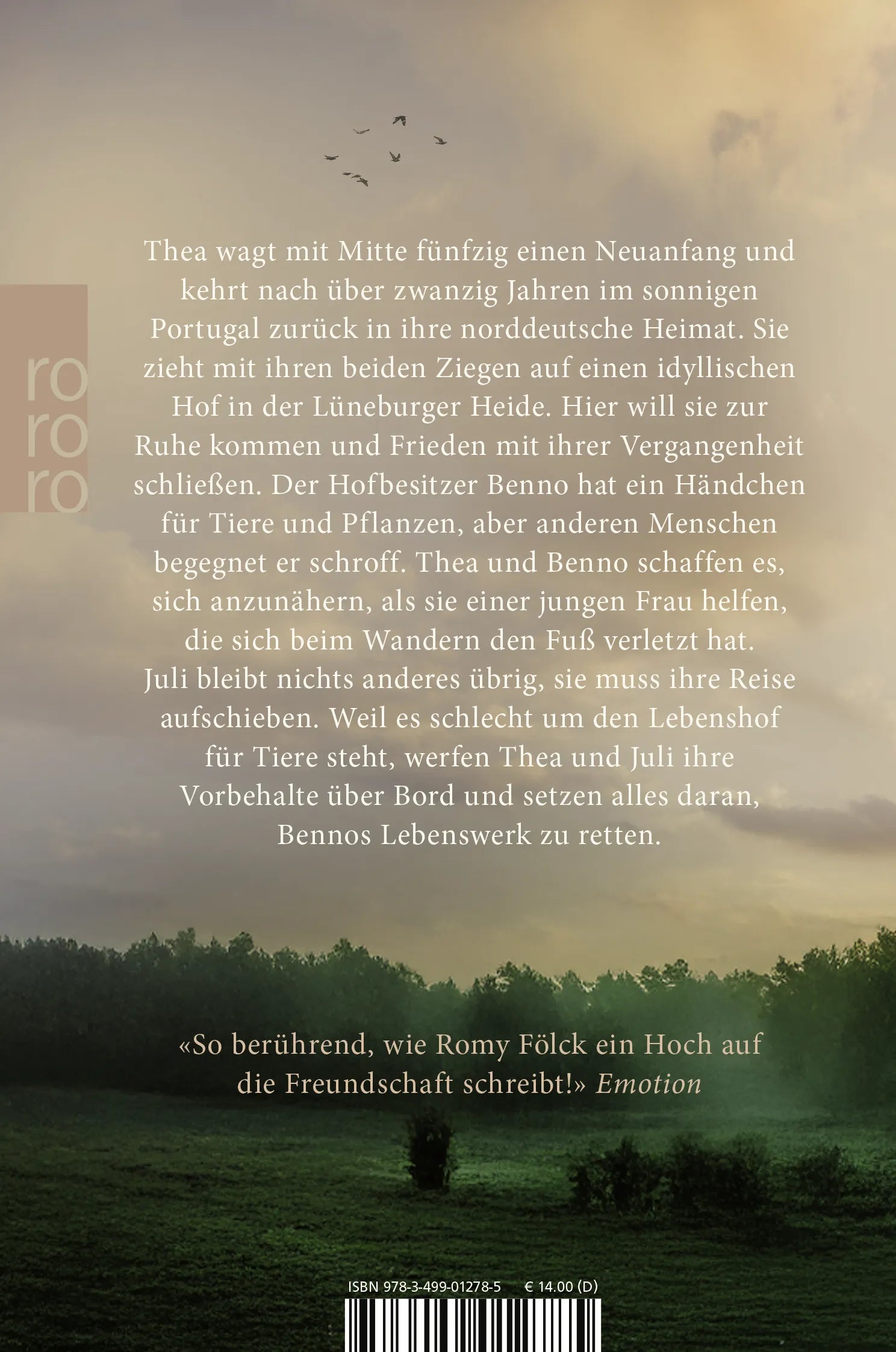 Buchrückseite von 'Das Licht in den Birken' mit Klappentext - Taschenbuch