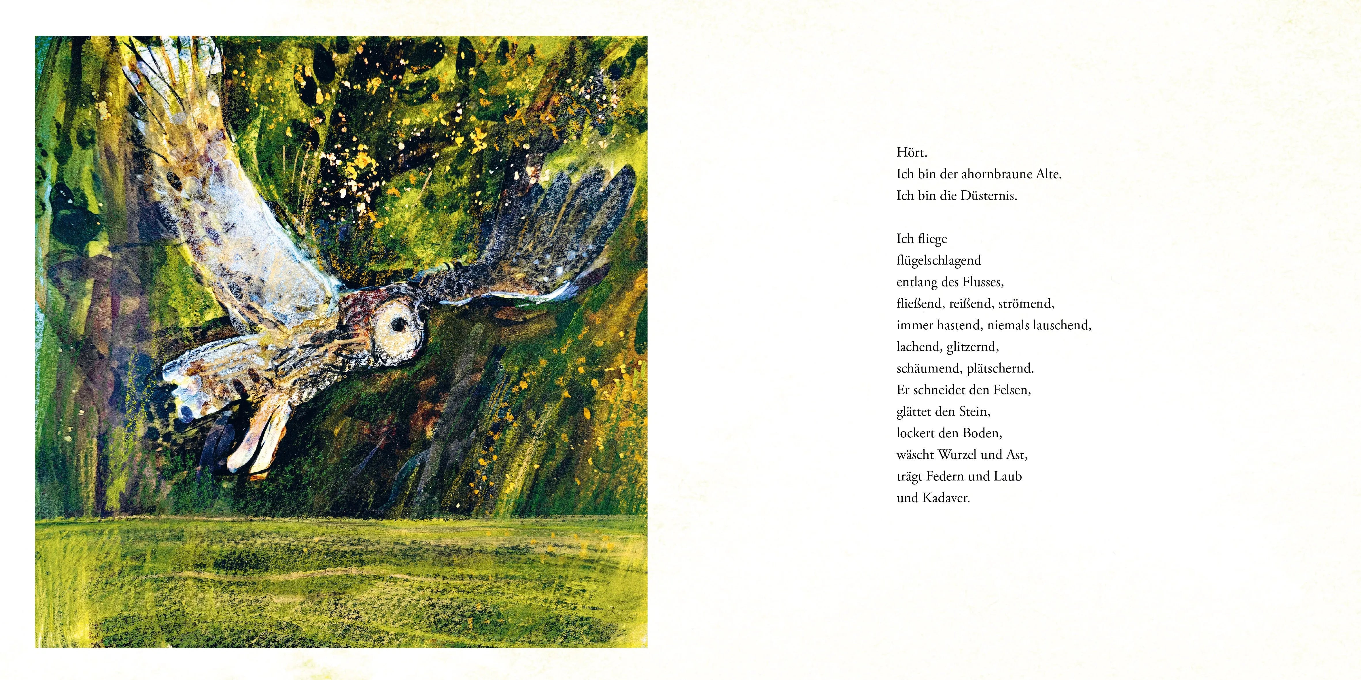 Detailansicht: Das Lied der Eule (Hardcover)