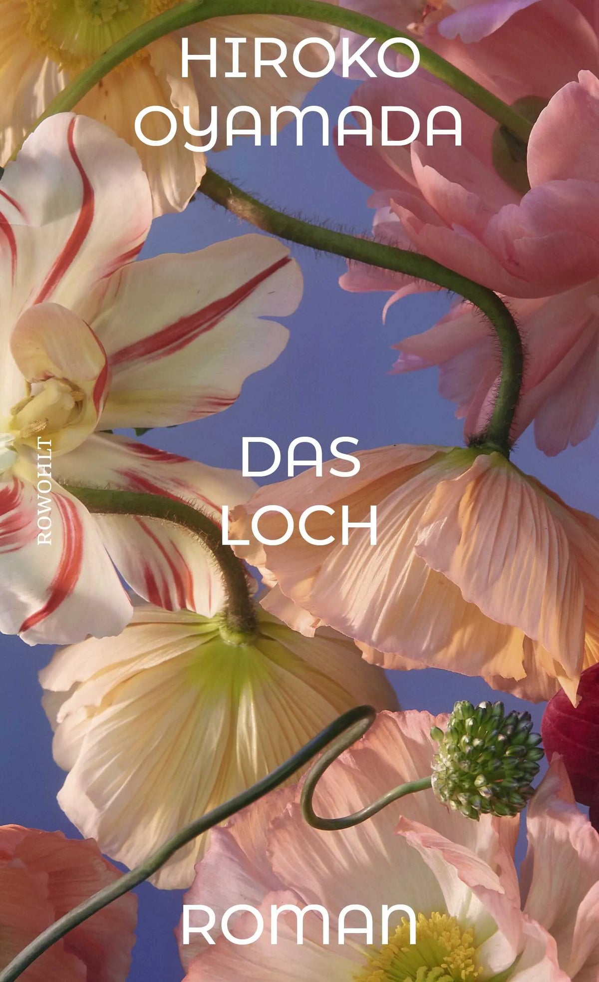 Buchcover von 'Das Loch' - Gebundene Ausgabe von Hiroko Oyamada