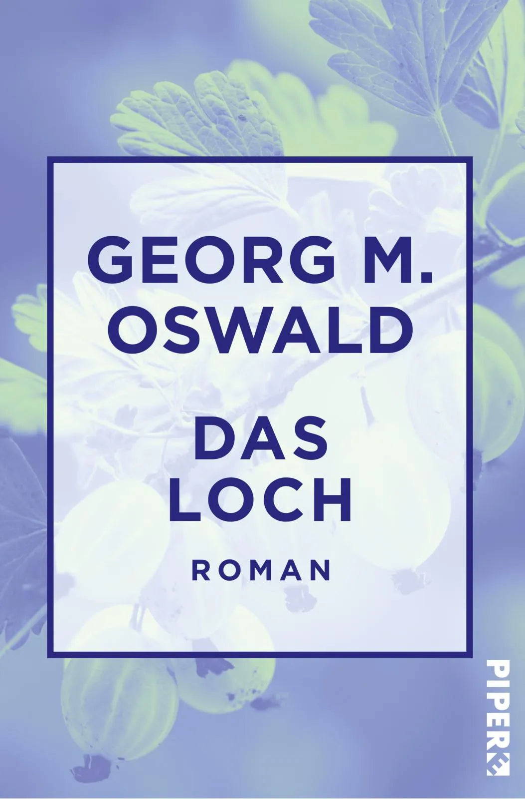 Buchcover von 'Das Loch' - Taschenbuch von Georg M. Oswald