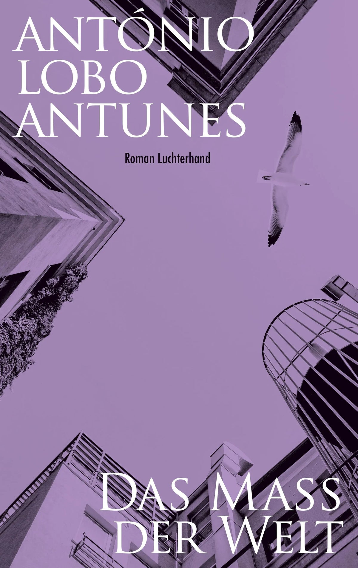 Cover: Das Maß der Welt (Hardcover) von António Lobo Antunes
