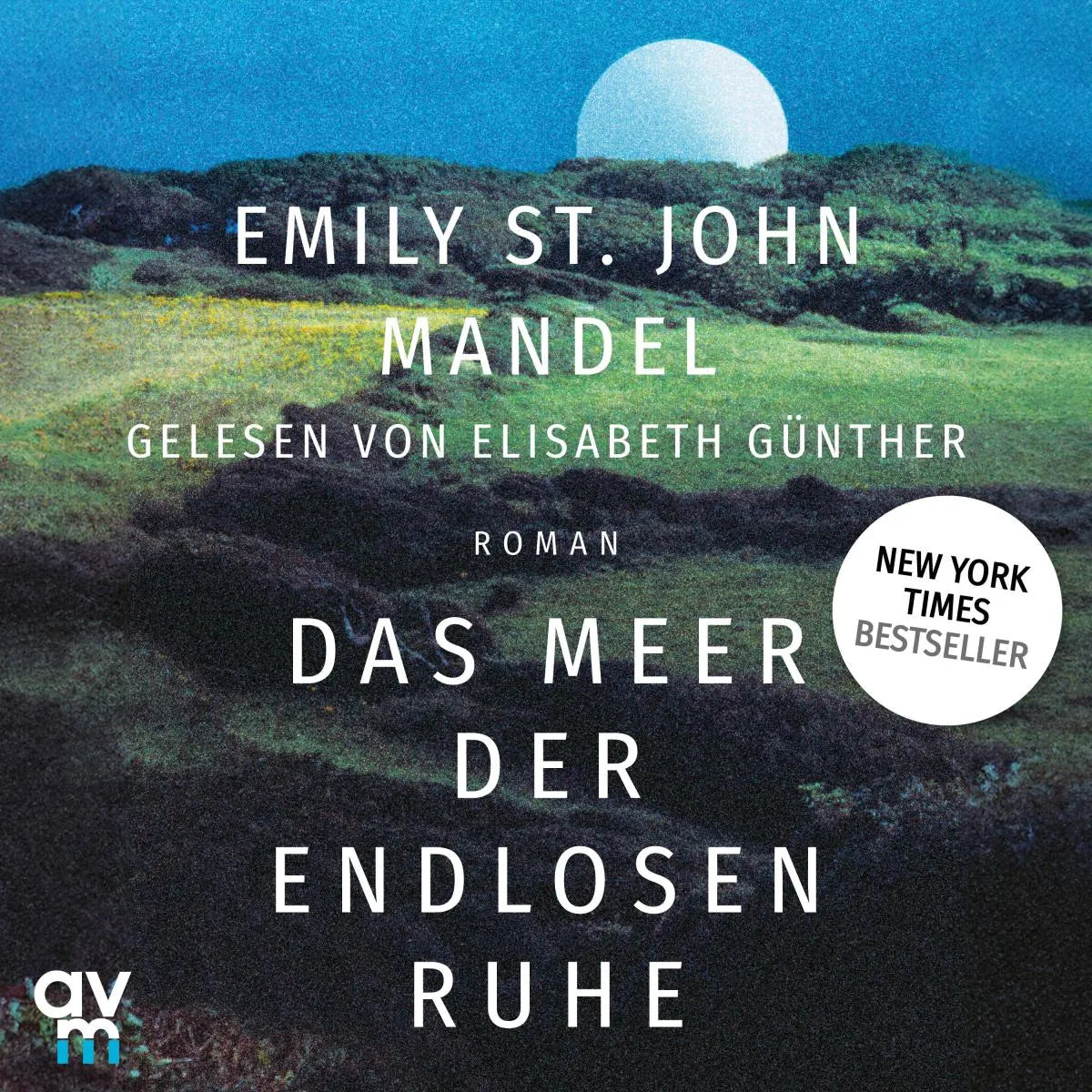 Cover: Das Meer der endlosen Ruhe (Hörbuch Download) von Emily St. John Mandel