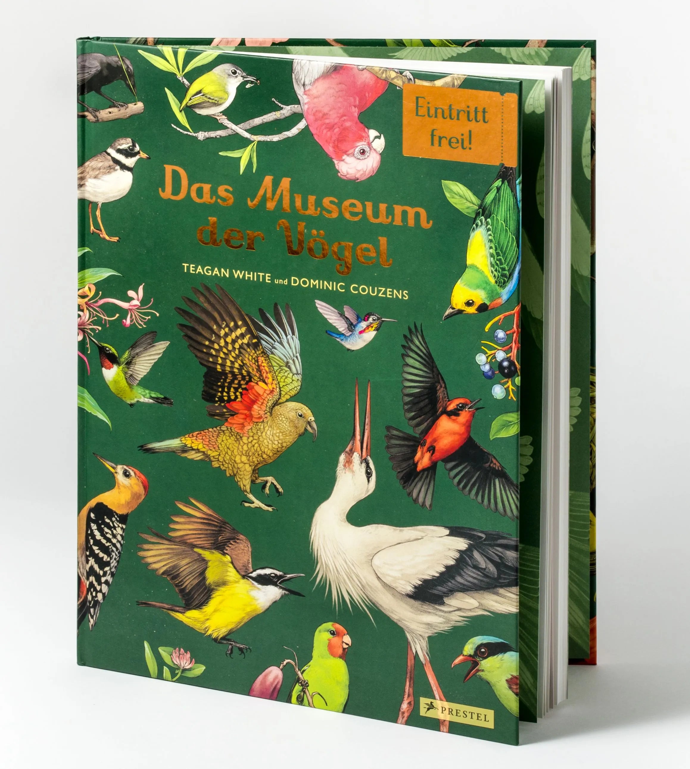 Cover: Das Museum der Vögel (Hardcover) von Dominic Couzens