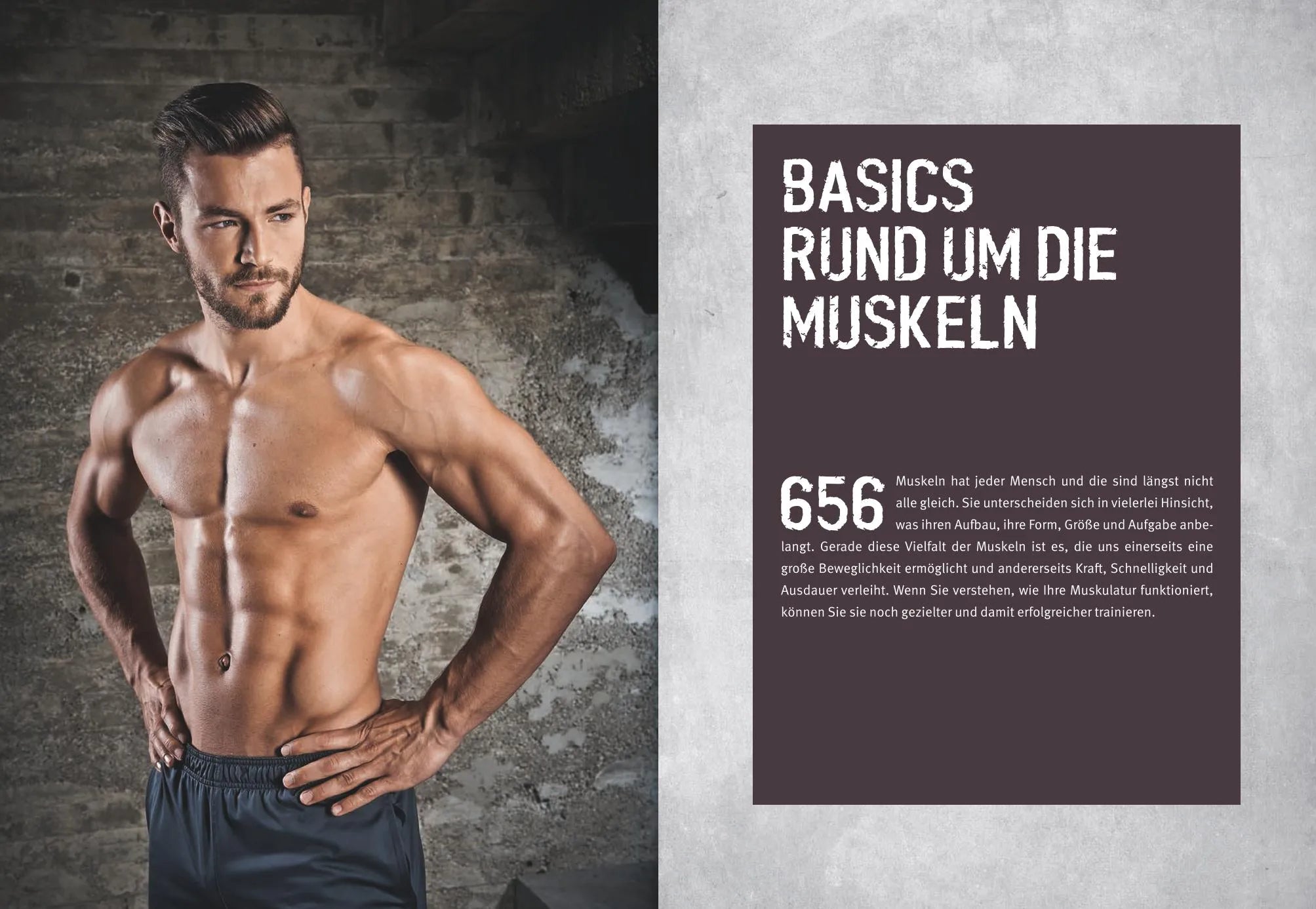 Ingo Froböse - Das Muskel-Workout