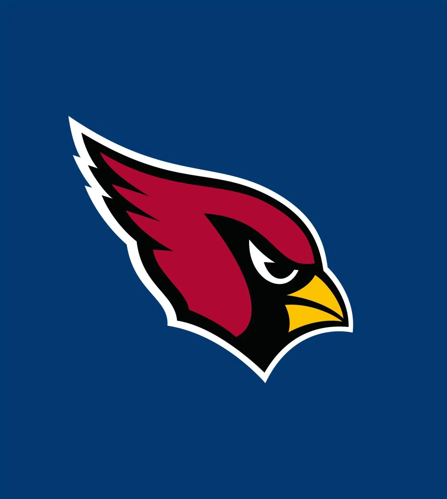 Produktansicht: Das Nerd-ABC: Das ABC der NFL-Teams (Gebundene Ausgabe)