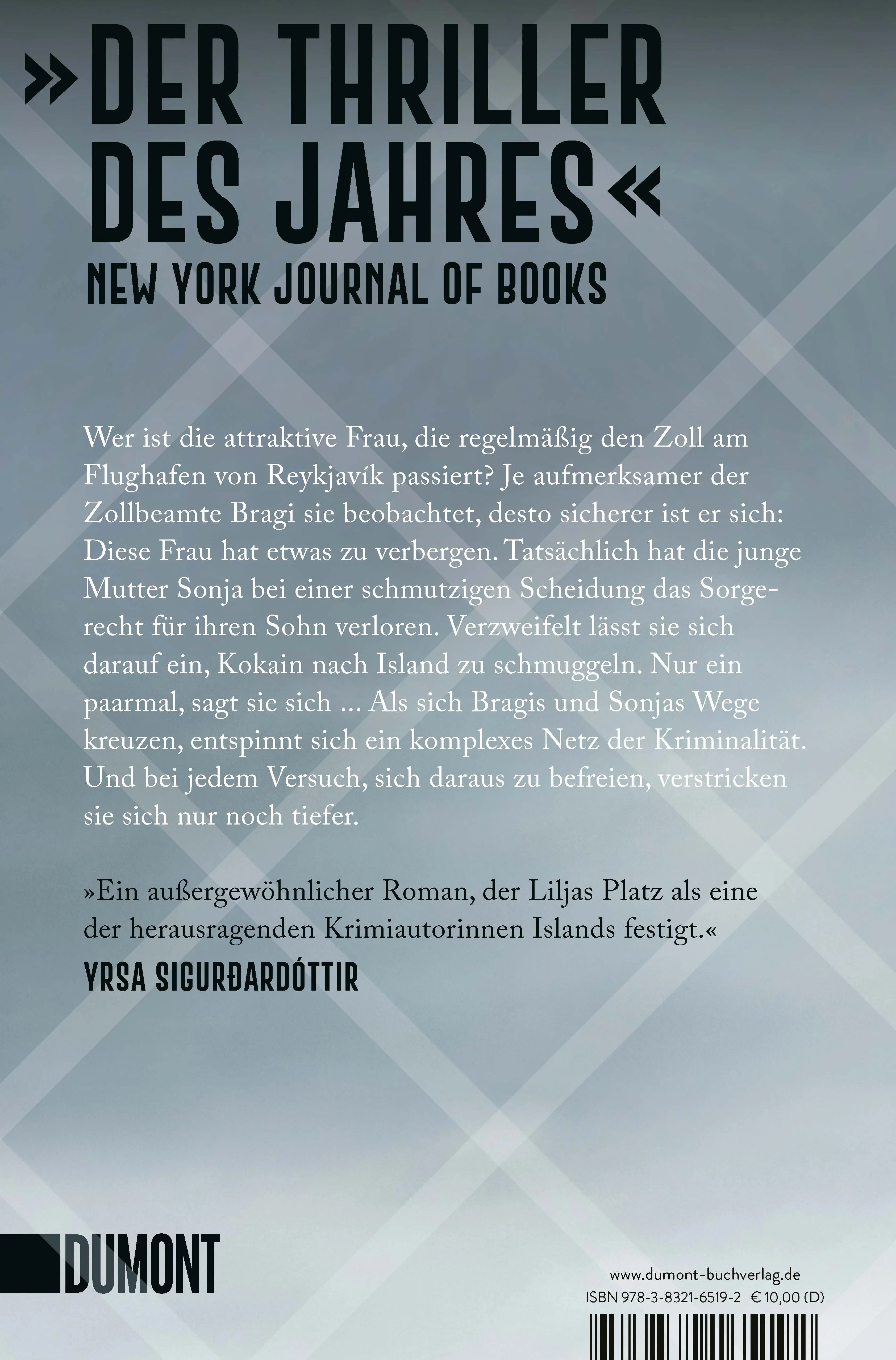 Buchrückseite von 'Das Netz' mit Klappentext - Taschenbuch