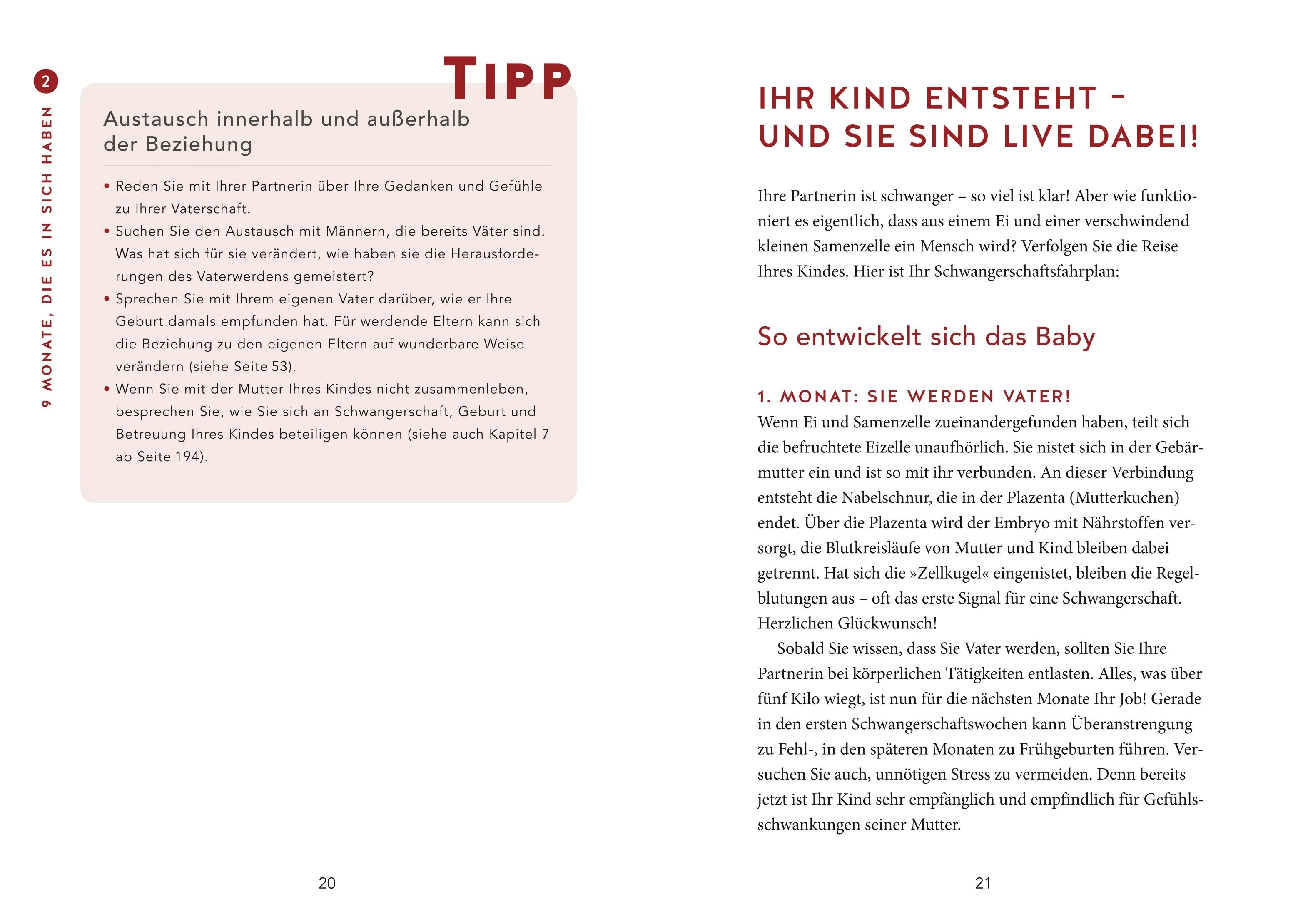 Robin (ehemalig Robert) Richter - Das Papa-Handbuch