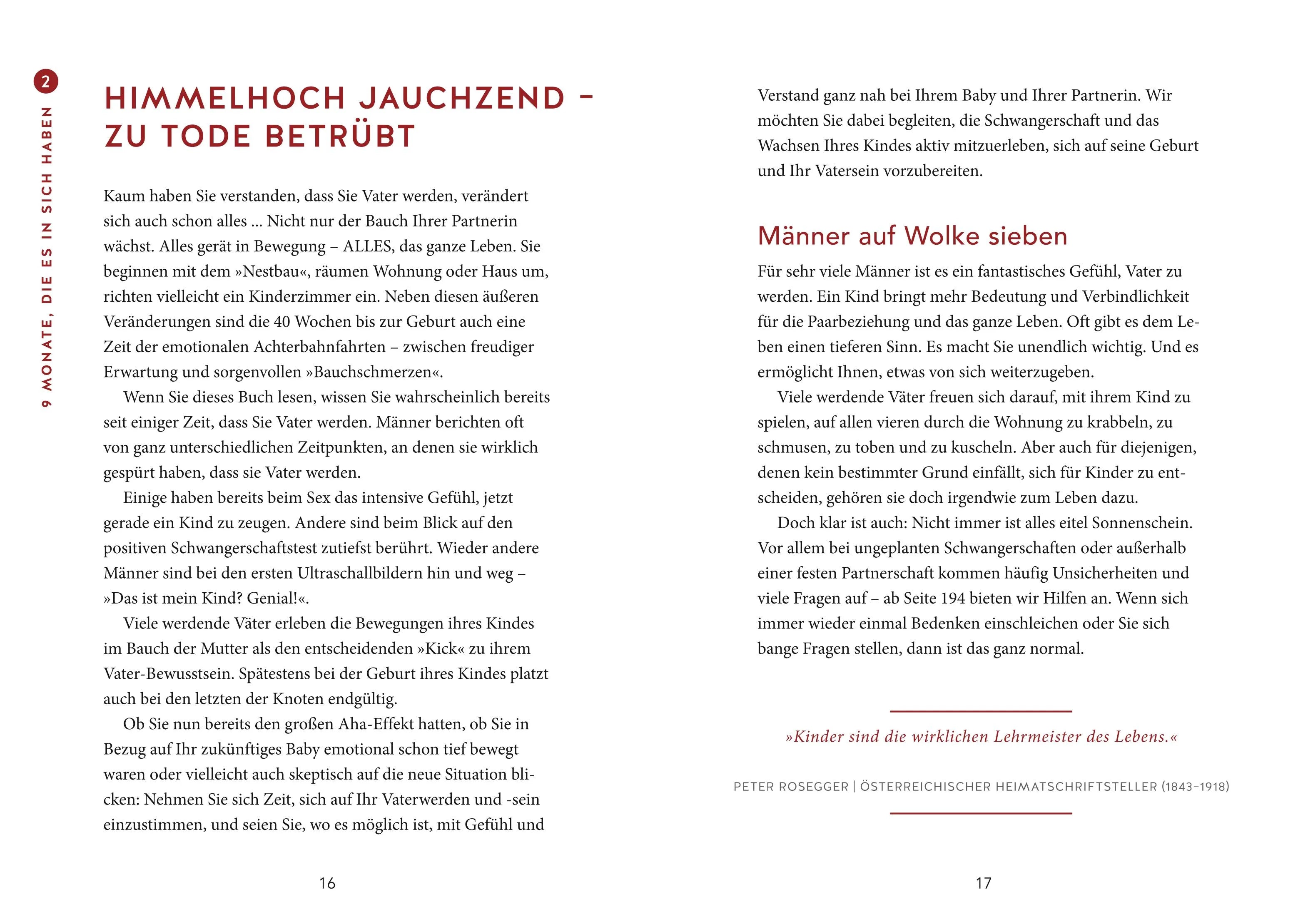 Produktansicht: Das Papa-Handbuch (Gebundene Ausgabe)