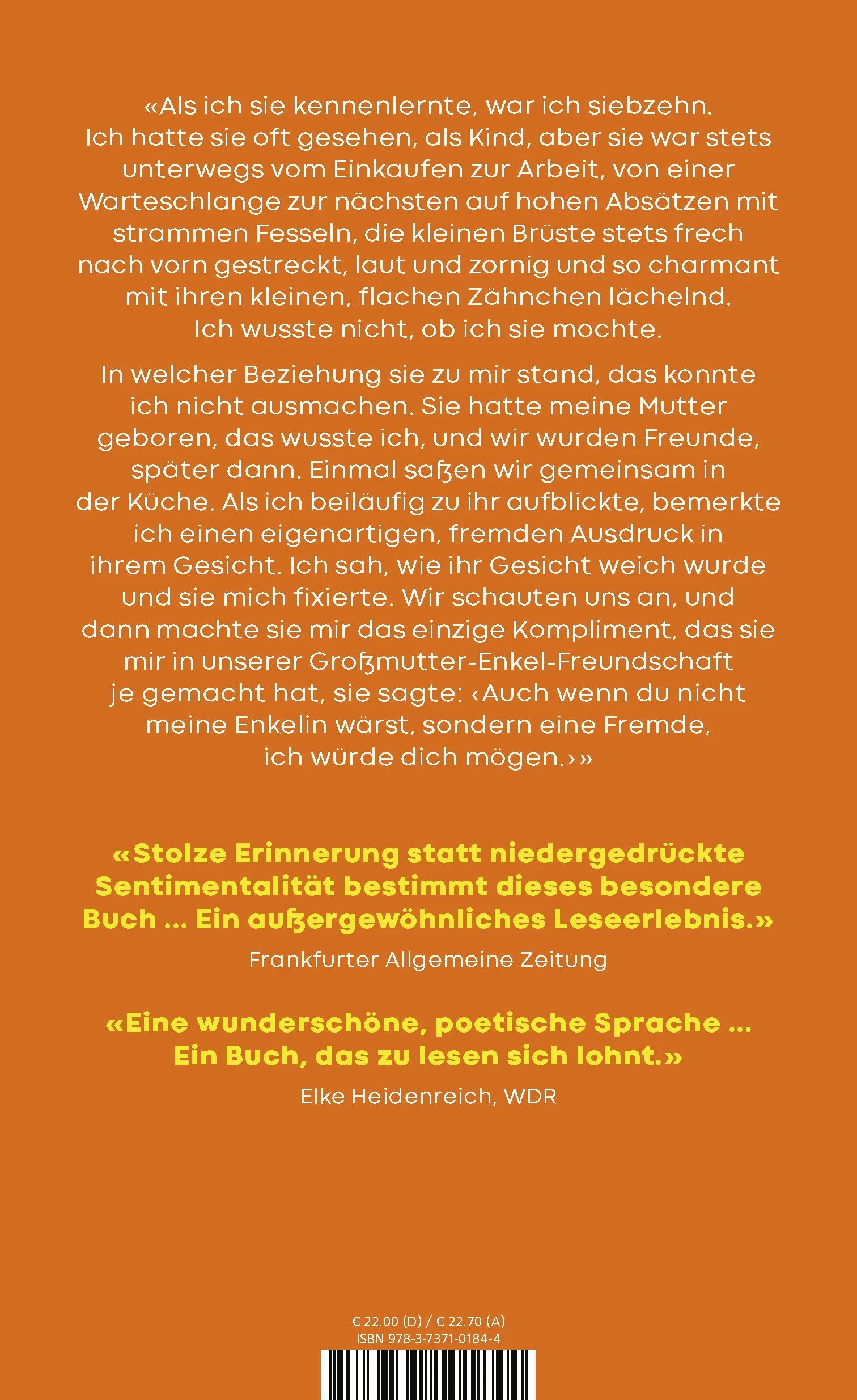 Buchrückseite von 'Das Pferd im Brunnen' mit Klappentext - Gebundene Ausgabe