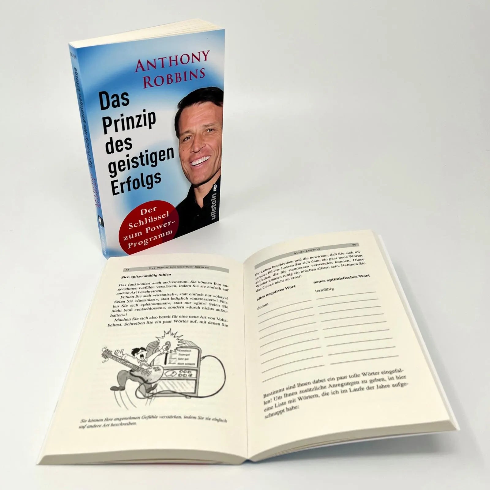 Abbildung von 'Das Prinzip des geistigen Erfolgs'