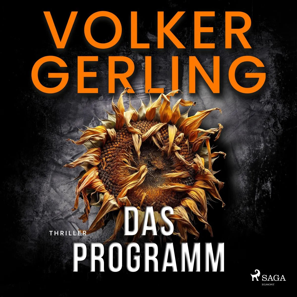 Cover: Das Programm (Hörbuch Download) von Volker Gerling
