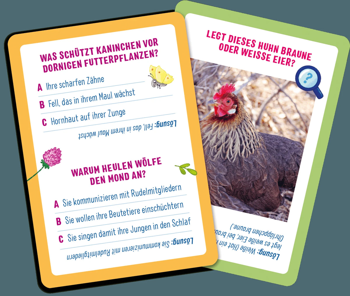 Das Quiz für kleine Forscher – Natur – Ansicht