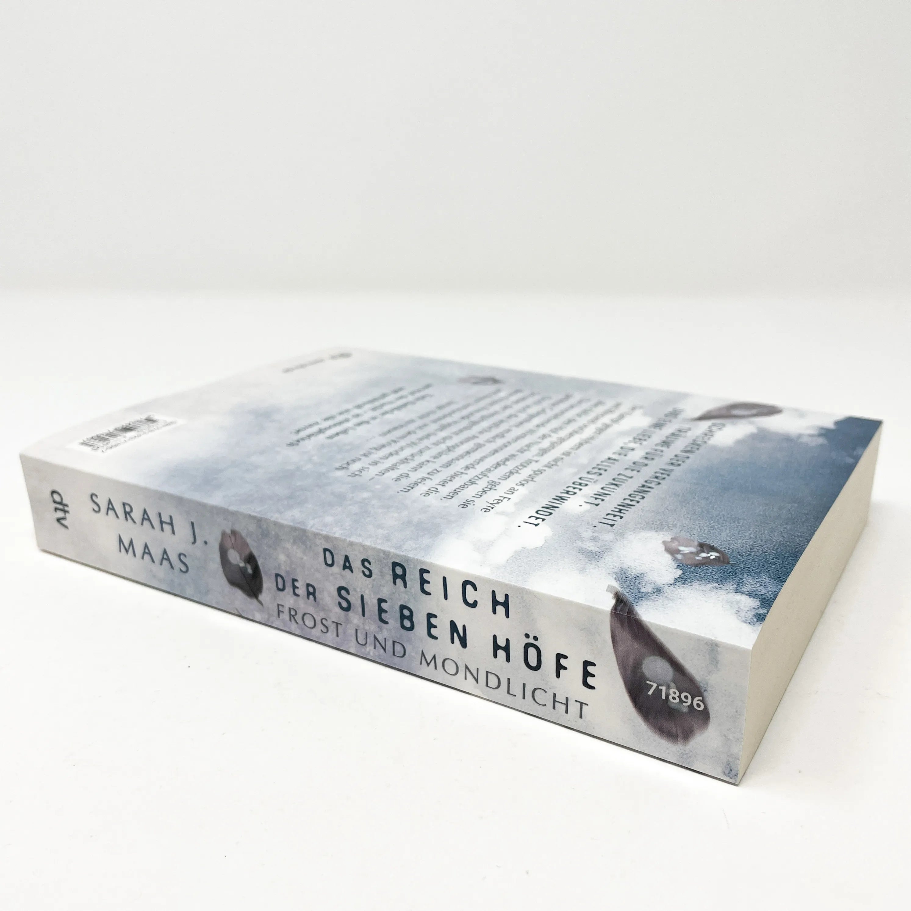 Detailansicht: Das Reich der sieben Höfe – Frost und Mondlicht (Taschenbuch)