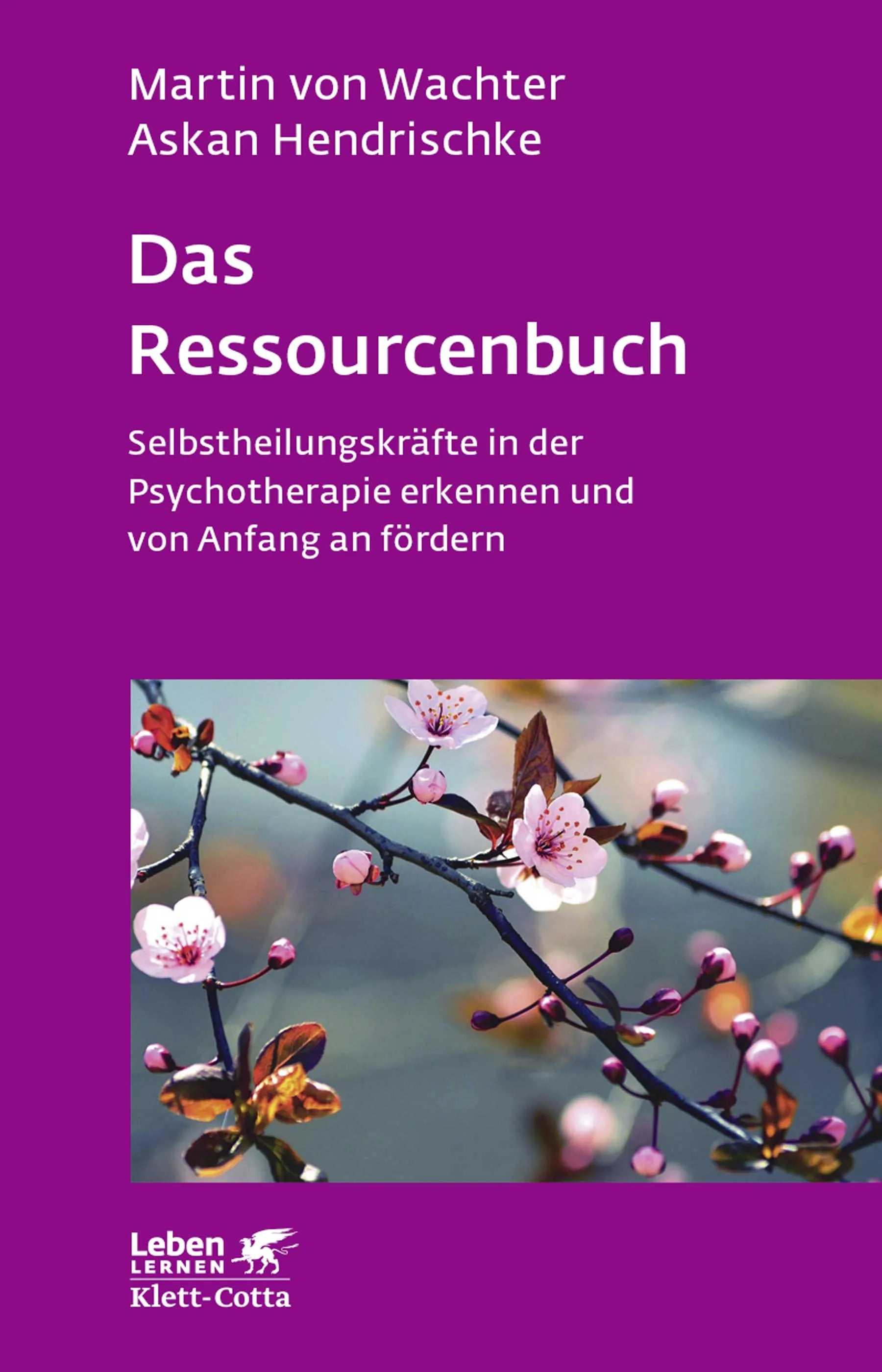 Buchcover von 'Das Ressourcenbuch' - Paperback von Martin von Wachter