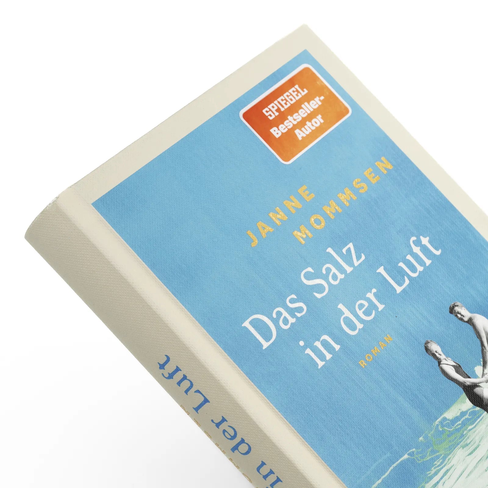 Detailansicht: Das Salz in der Luft (Hardcover)